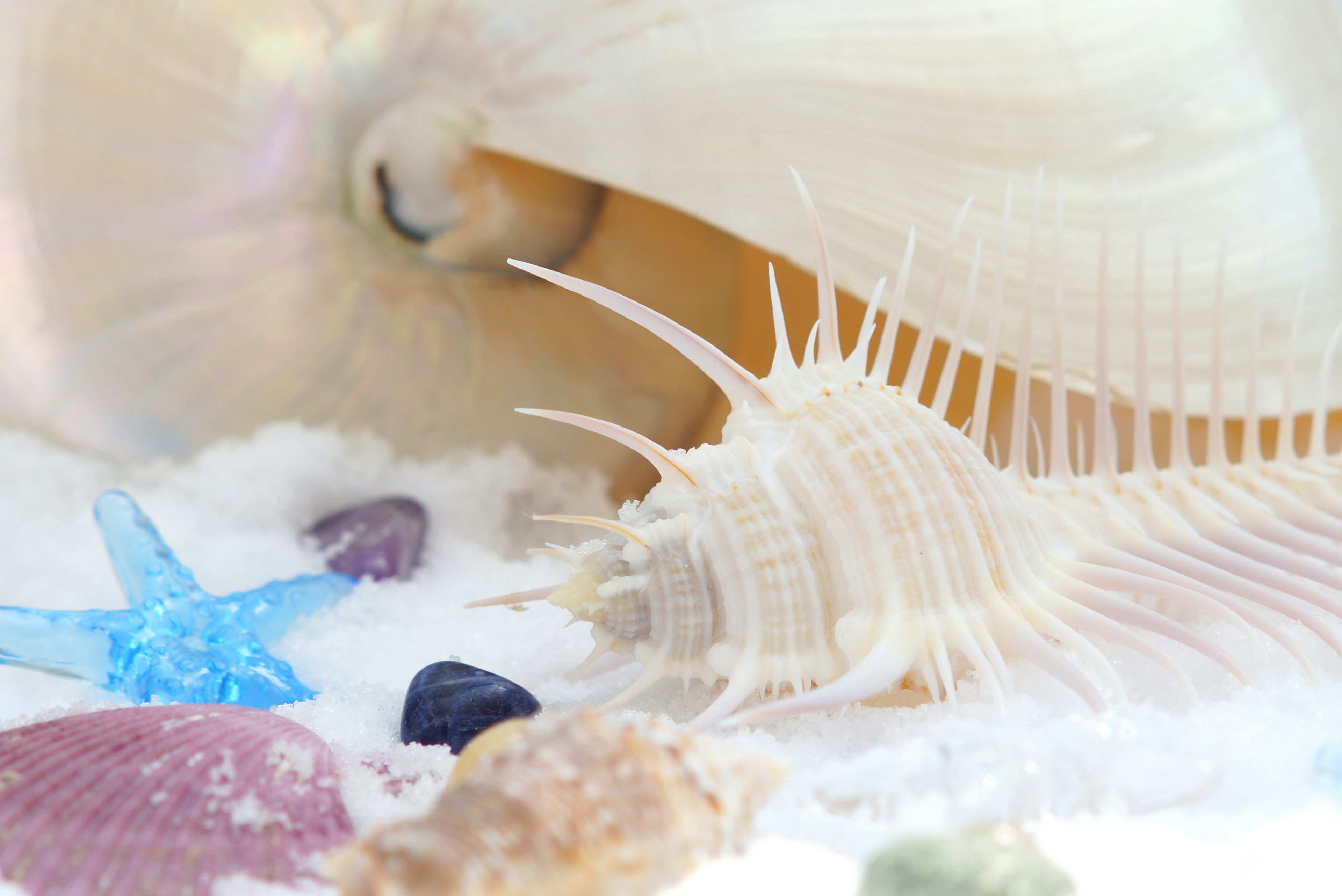 Weiße Muscheln und bunte Steine auf Sand angeordnet