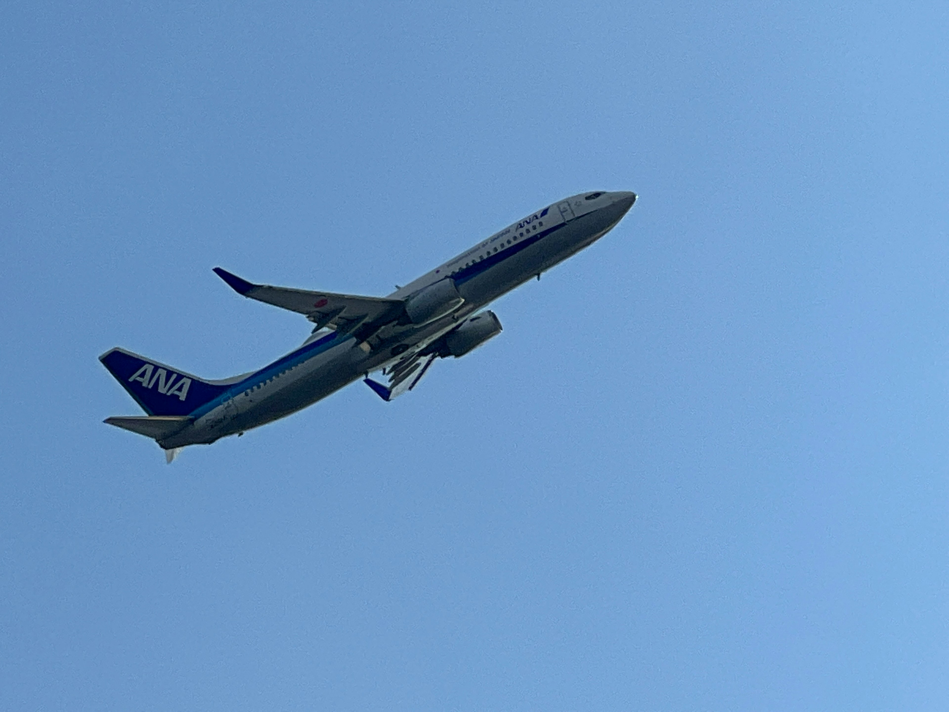 ANA Flugzeug fliegt vor blauem Himmel