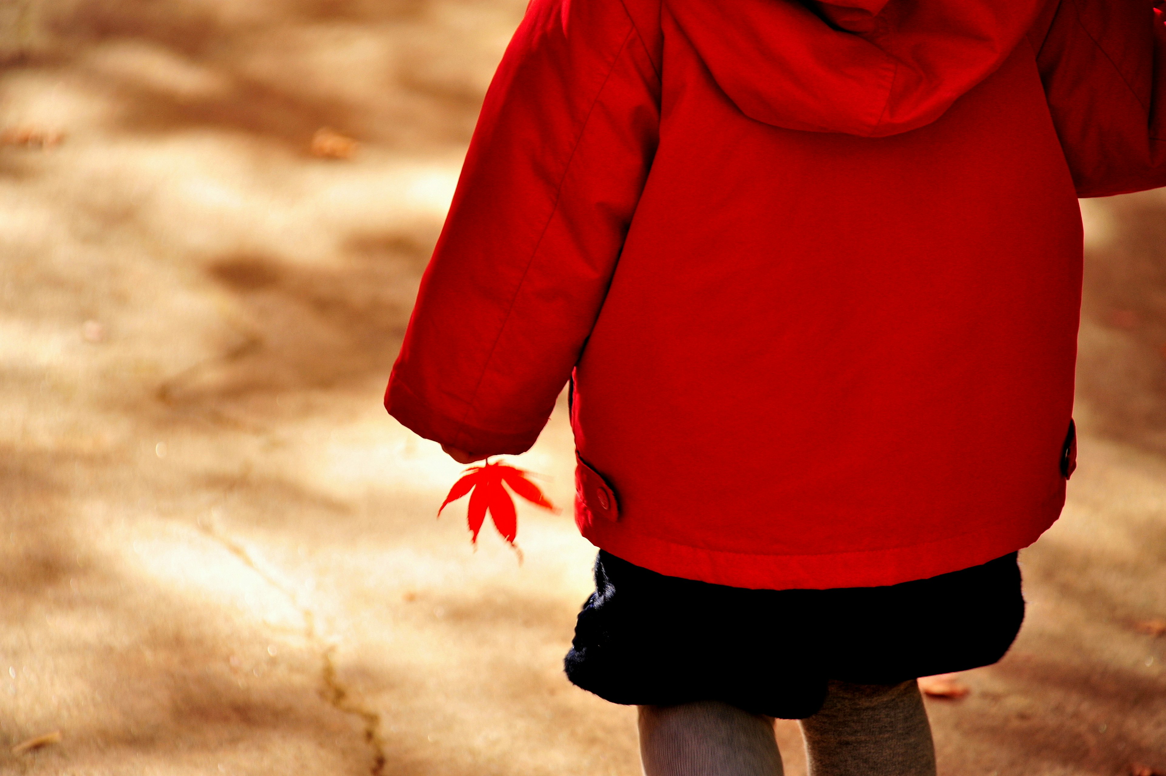 Enfant portant un manteau rouge marchant avec une feuille