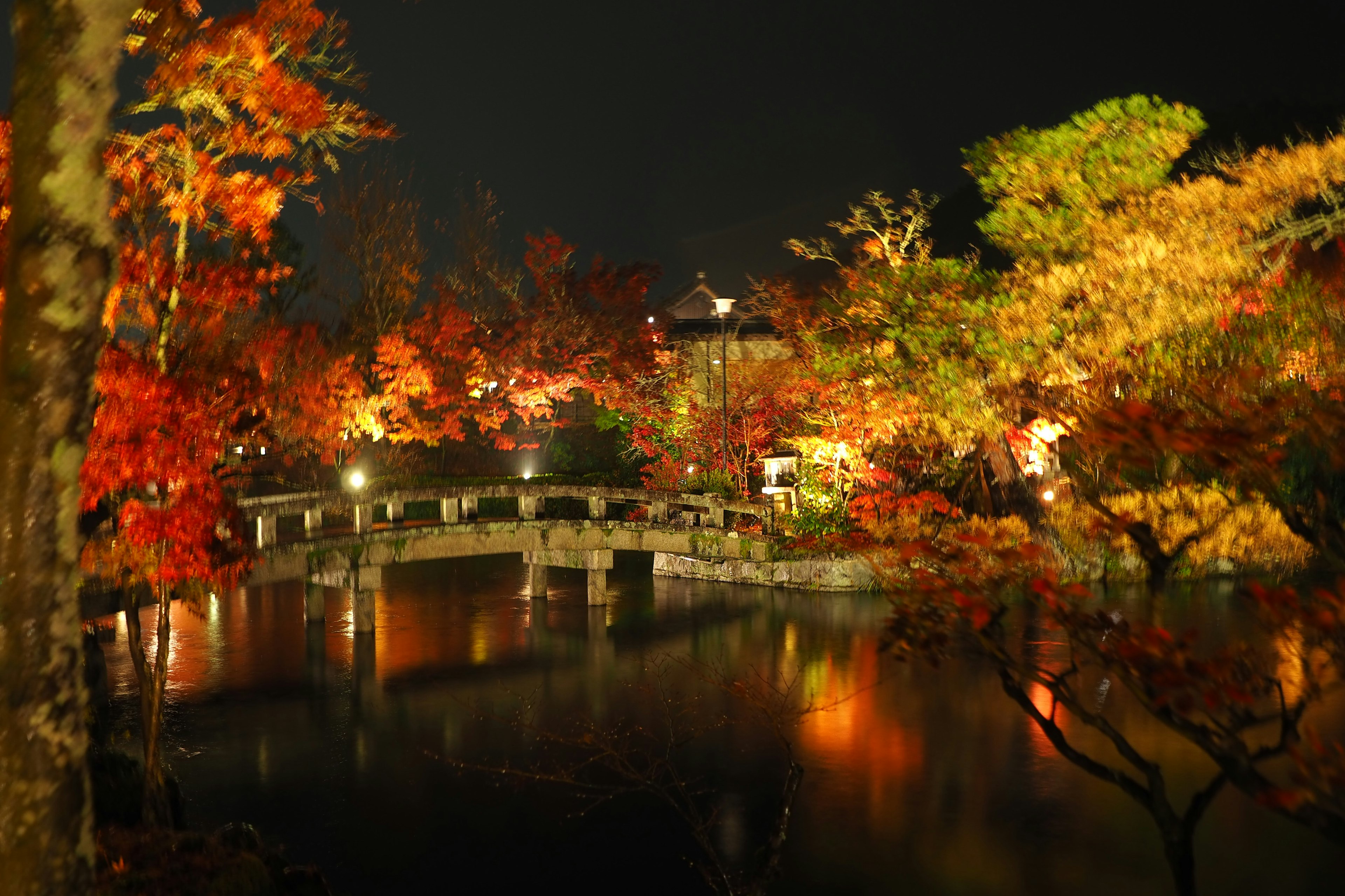 Nachtansicht eines schönen Teiches und einer Brücke umgeben von Herbstlaub