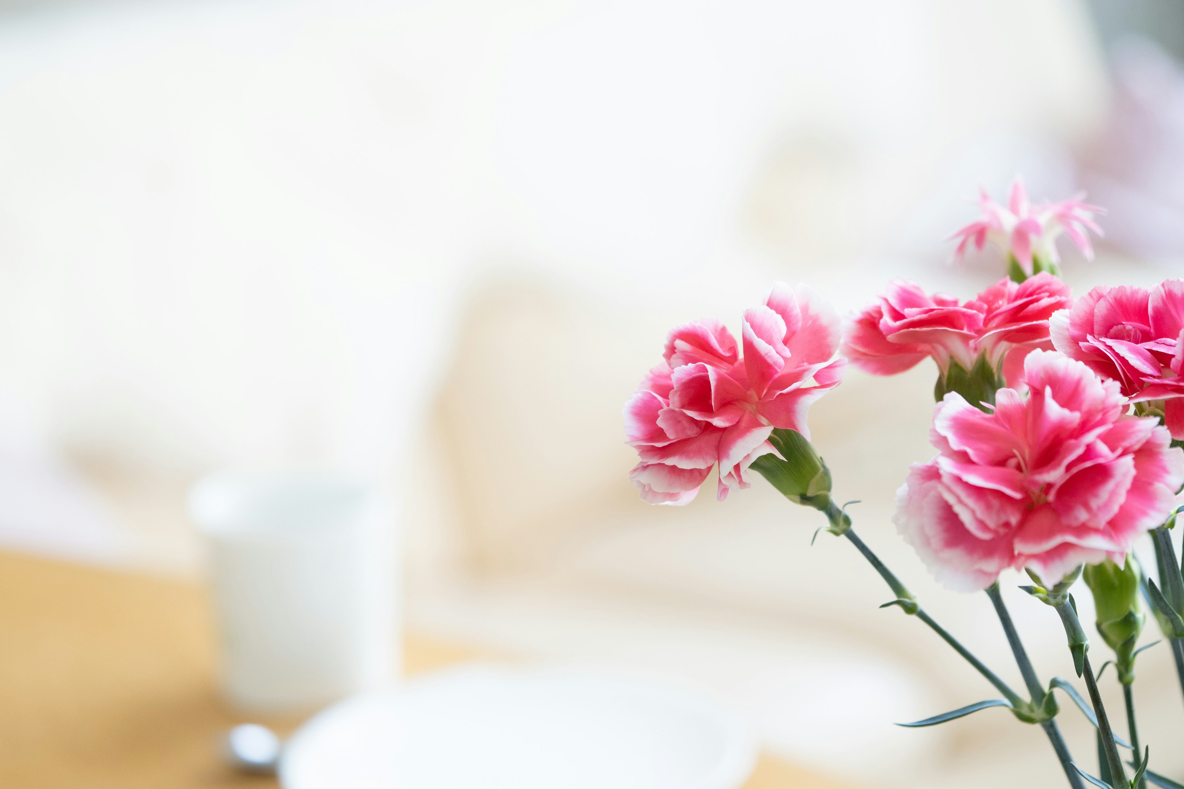 Bouquet of pink carnations with a white cup on a table