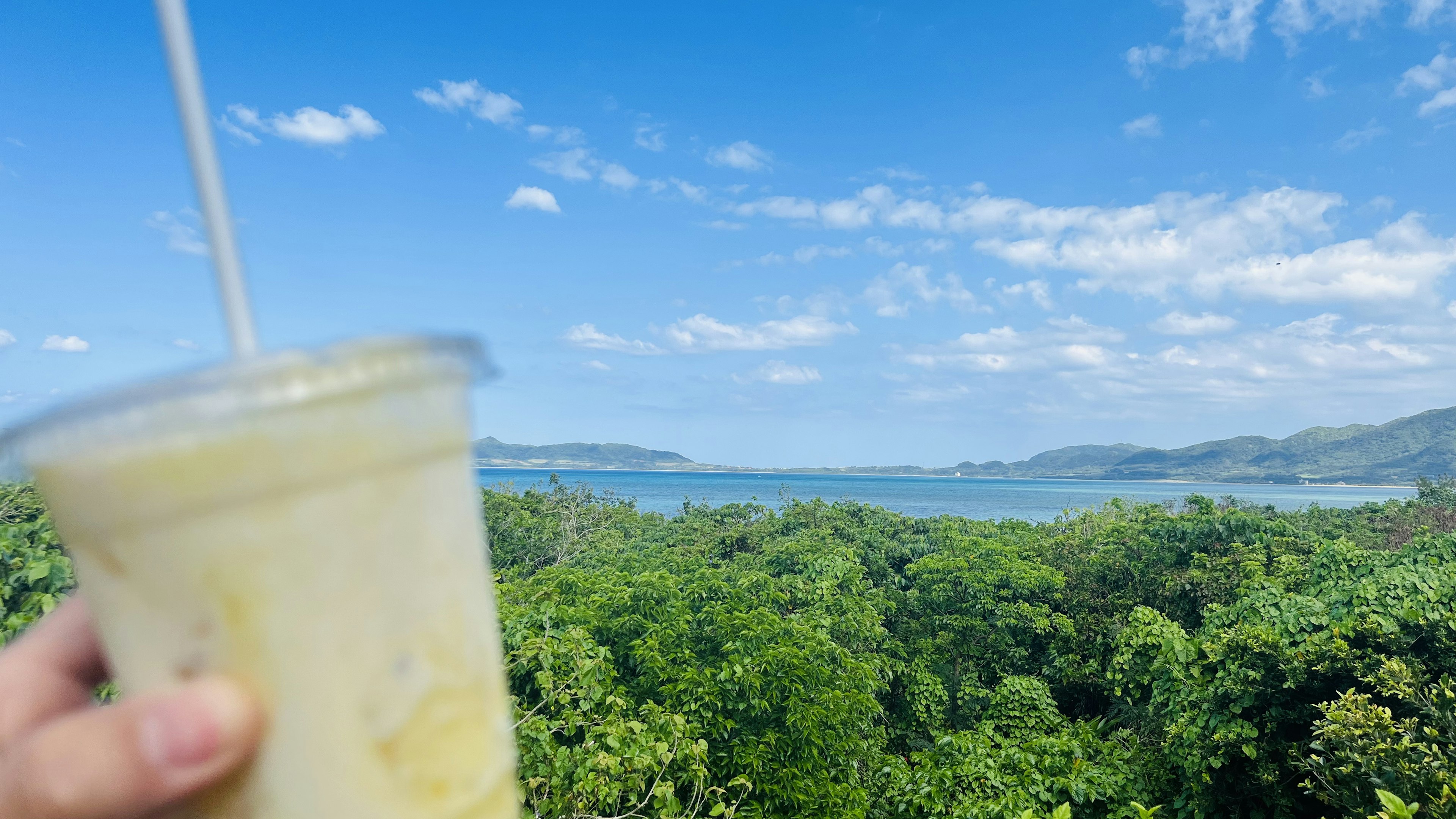 青い空と海を背景に持たれている飲み物のカップ