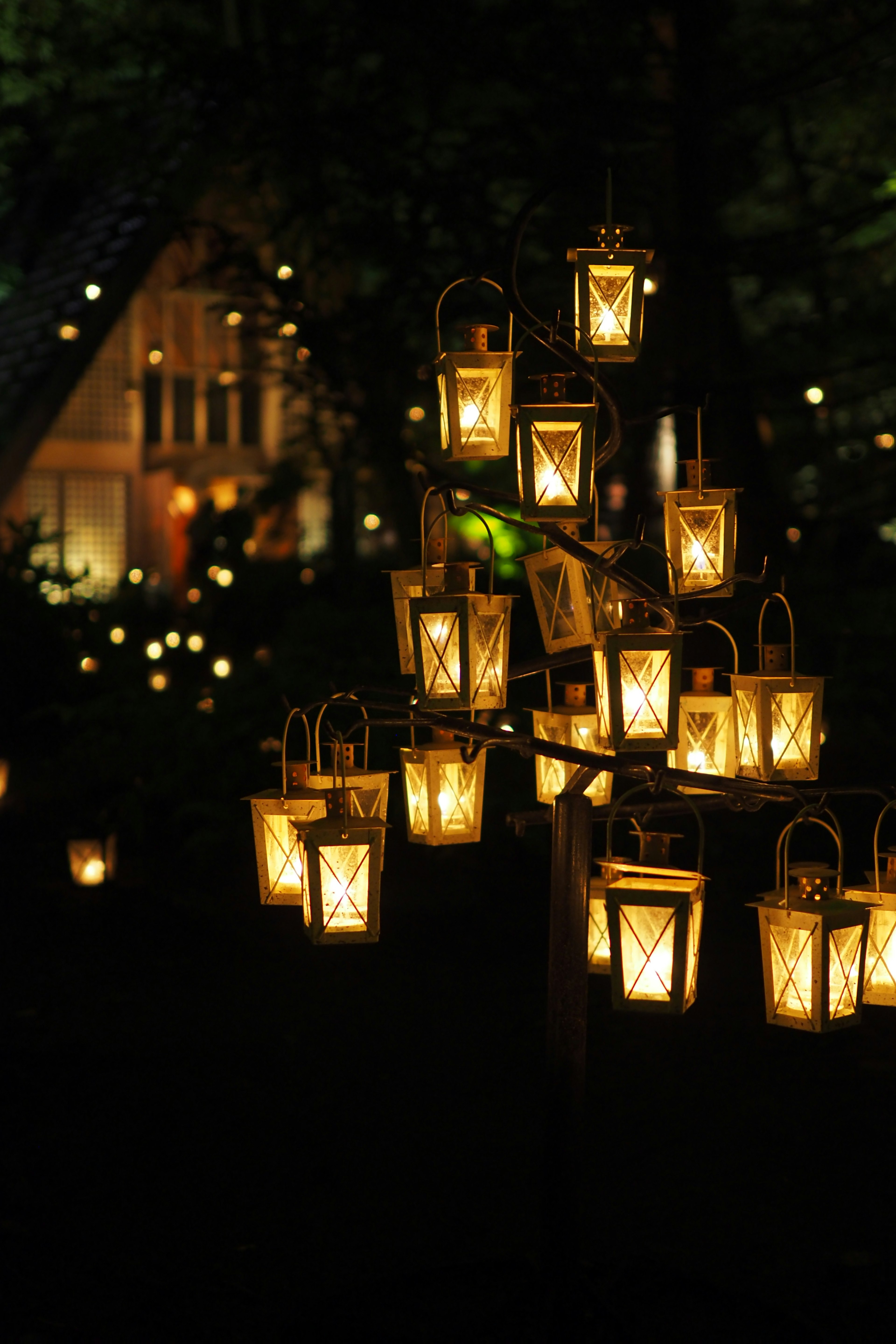 Una bella scena di lanterne luminose raccolte nella notte