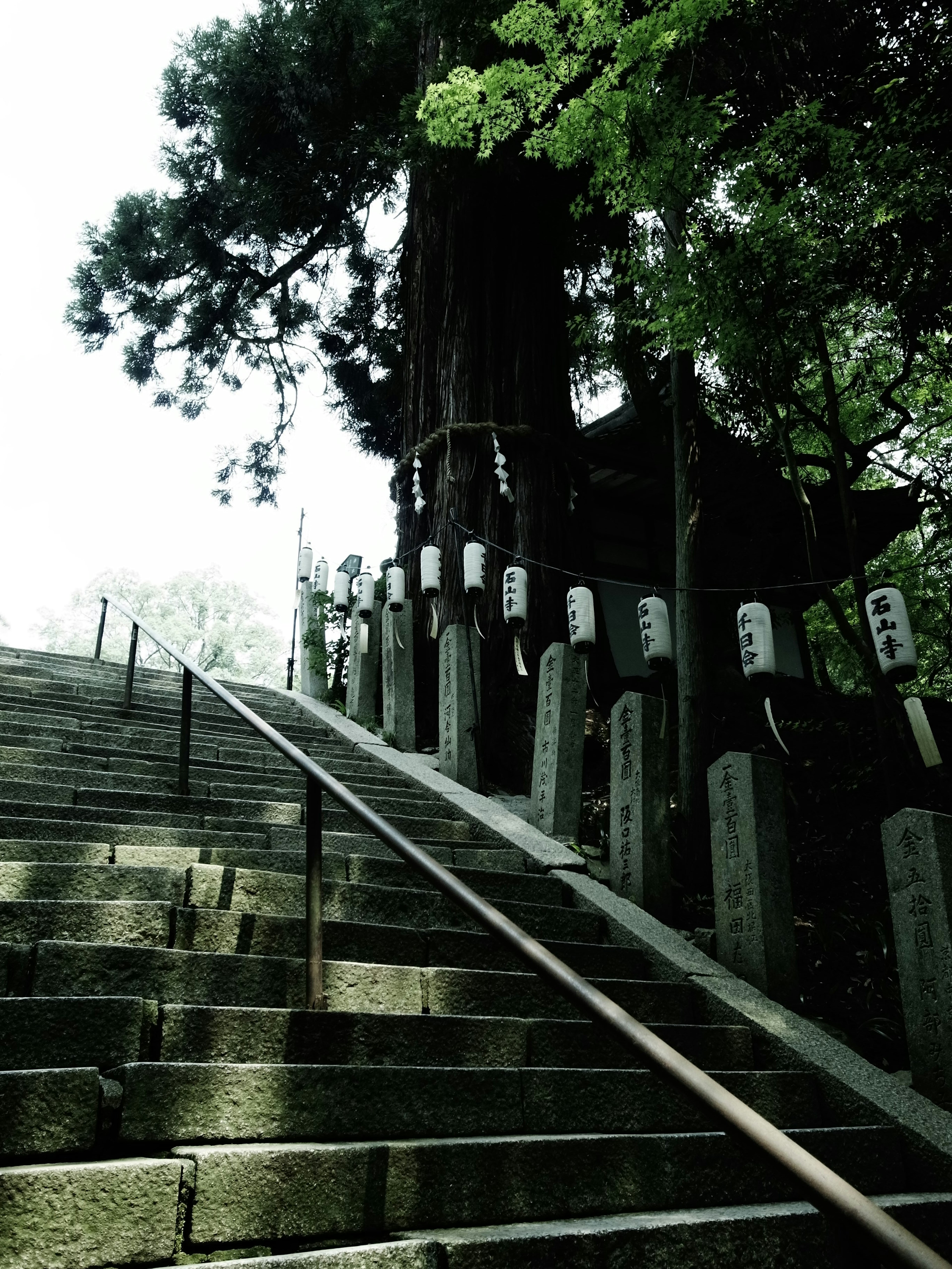 Stone steps leading to a shrine with ancient trees