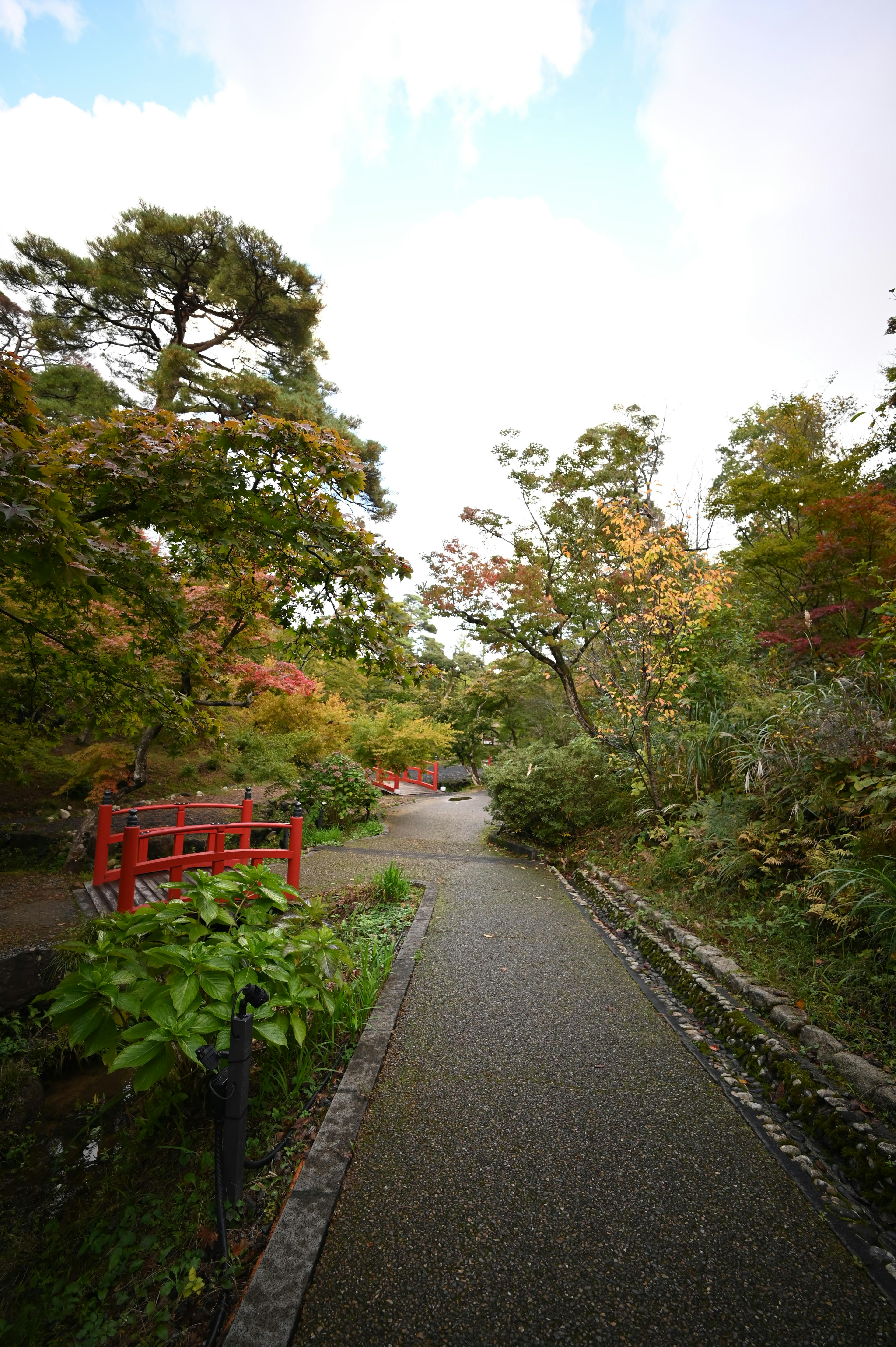 Vista escénica de un jardín japonés con árboles verdes y follaje otoñal con un puente rojo