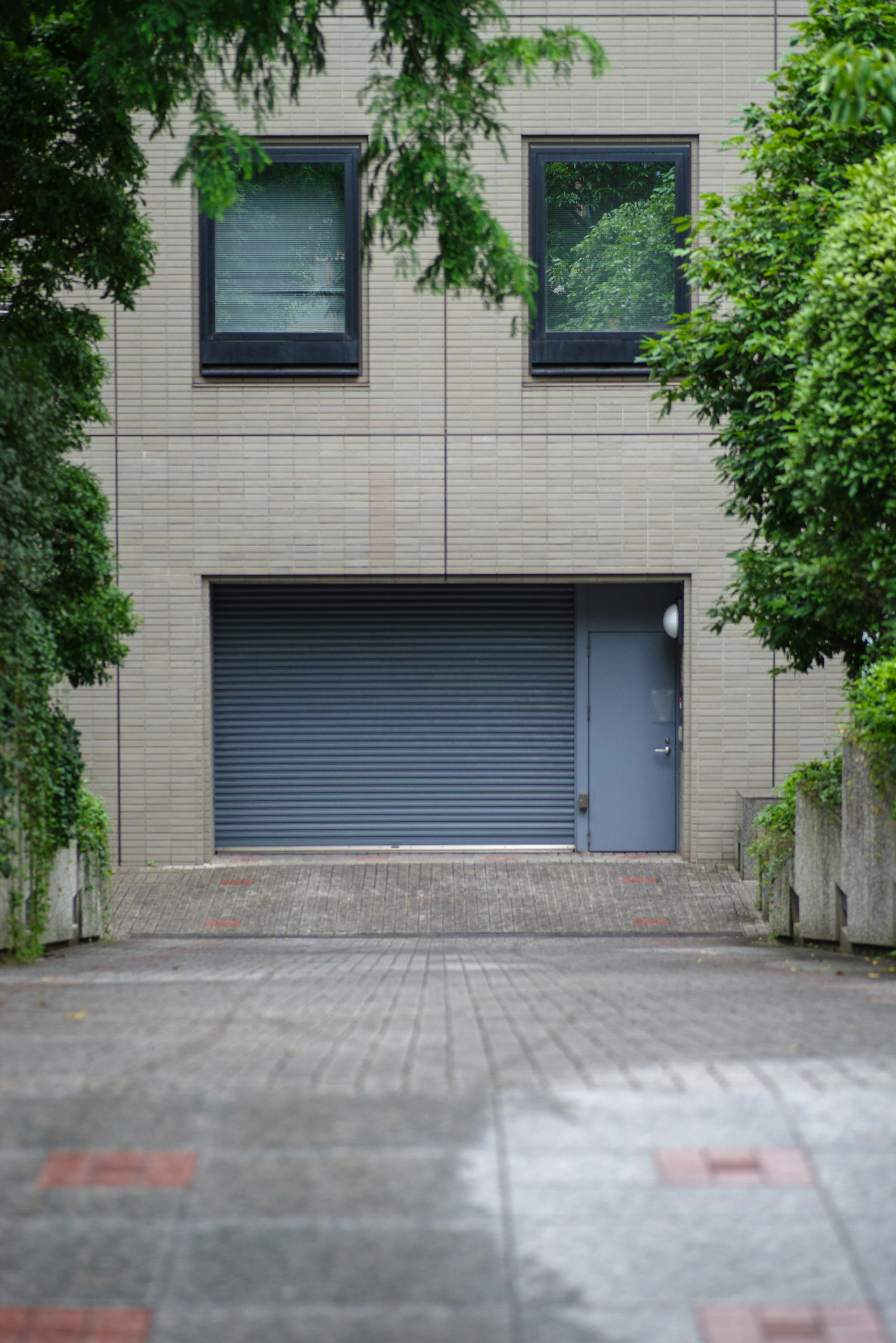 Modern house facade with a gray garage door and lush greenery