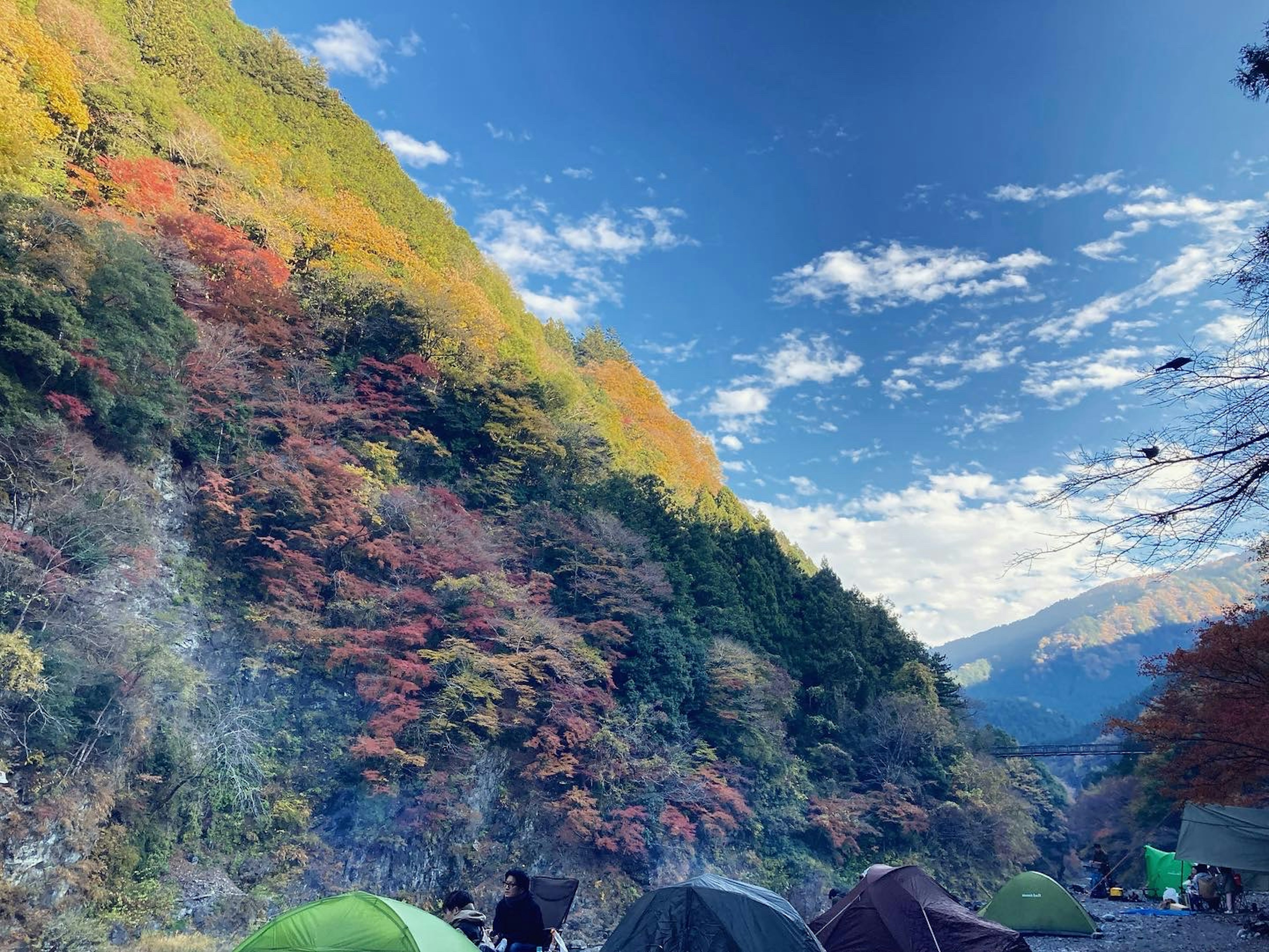 秋の色彩に包まれたキャンプ場の風景緑色のテントと煙が漂う