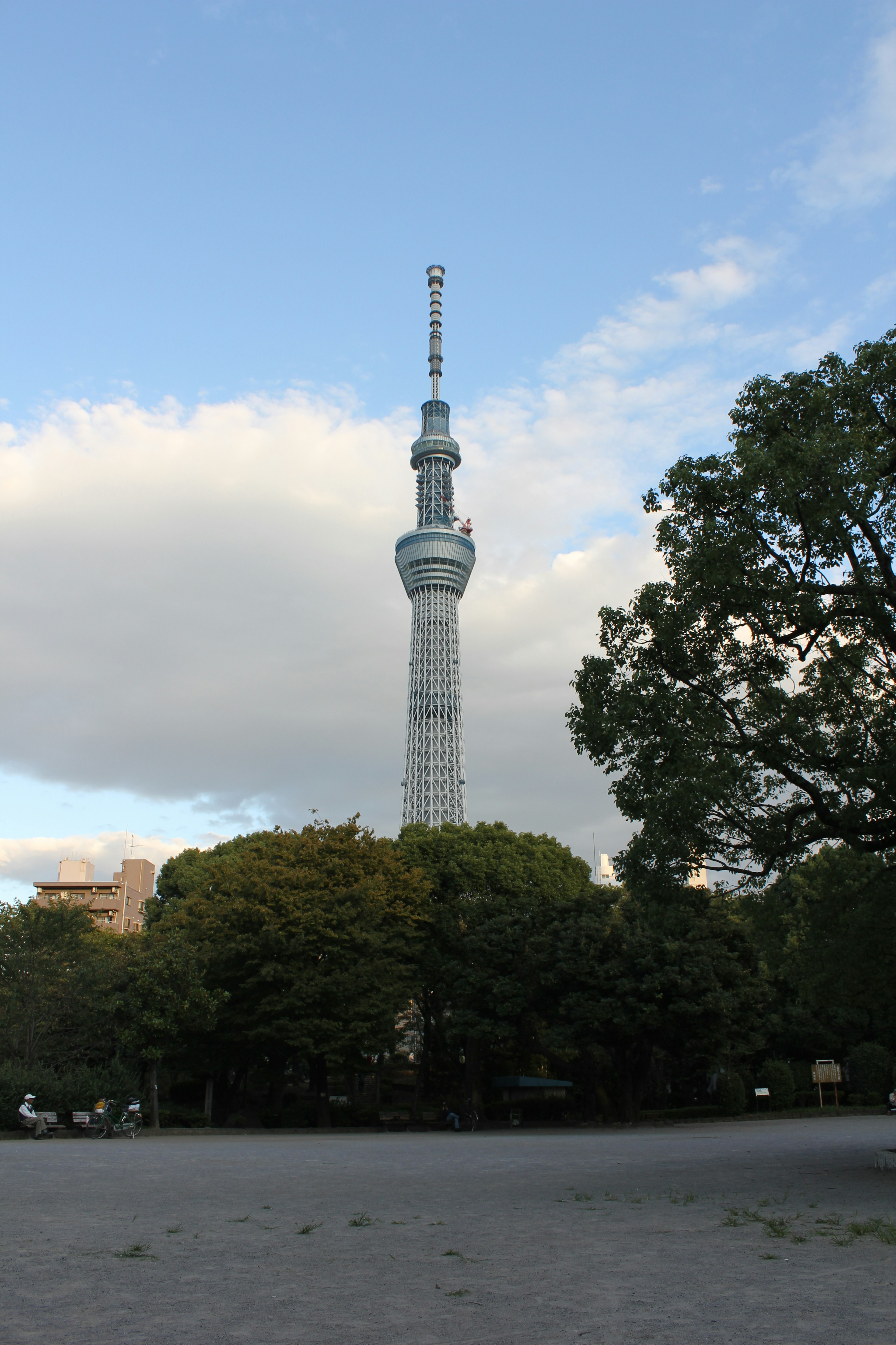 東京スカイツリーの全景低角度からの撮影木々と青空が背景