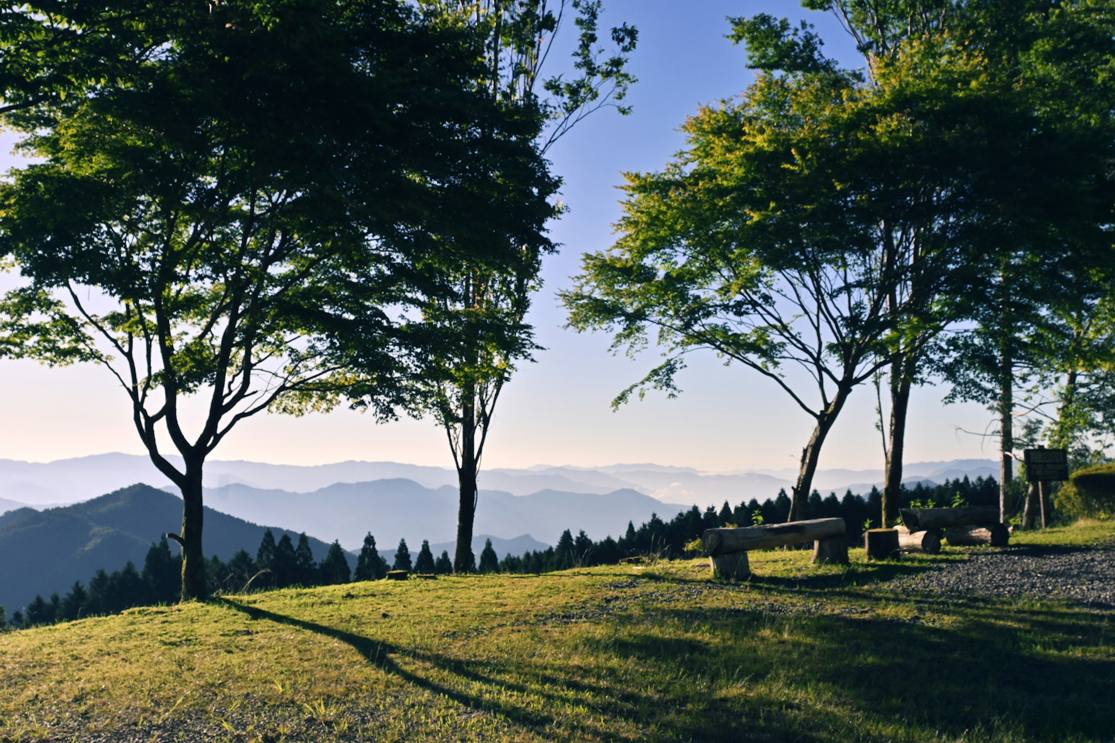 Vista panoramica di colline verdi e alberi sotto un cielo blu con montagne lontane