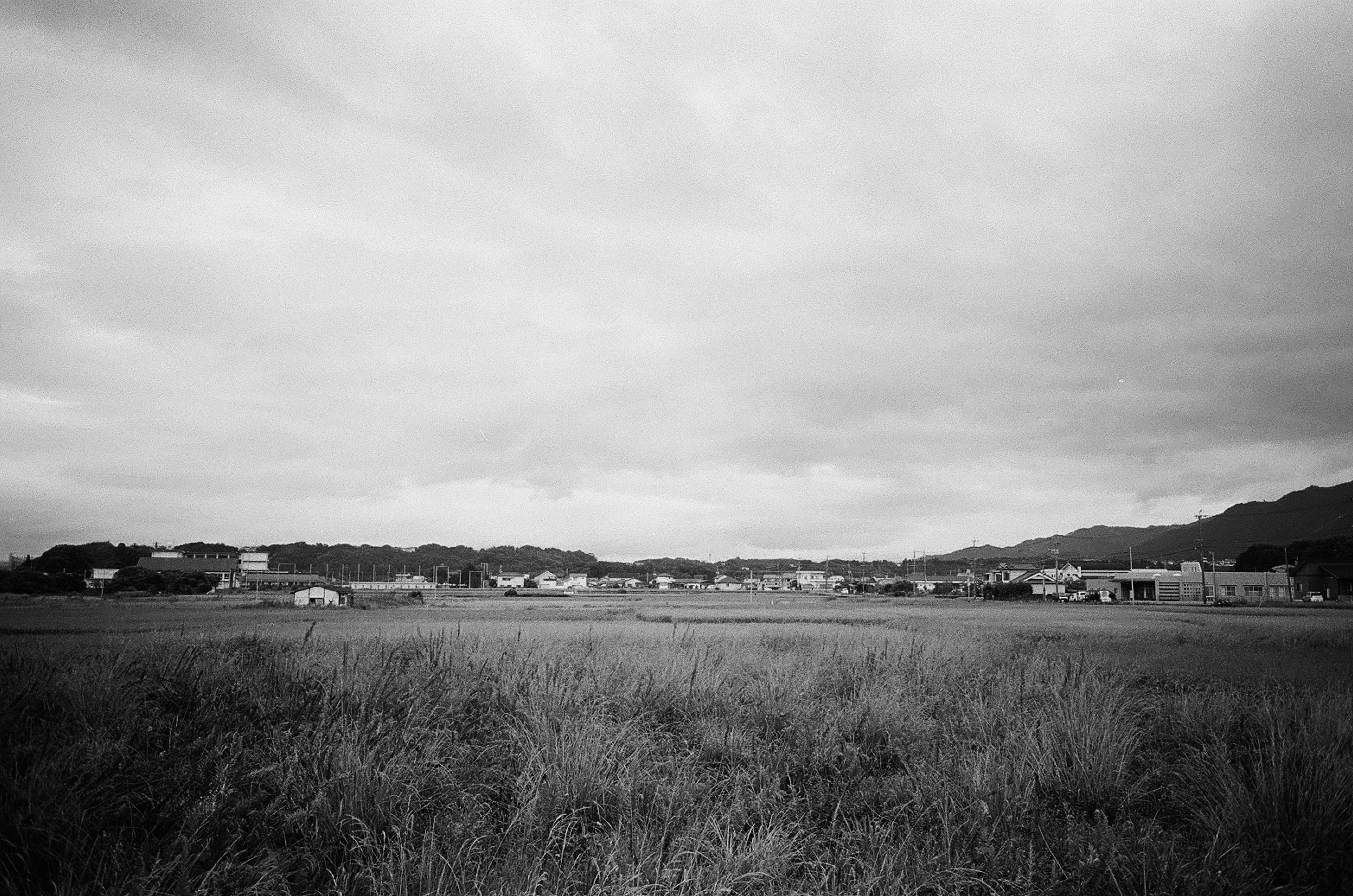 Expansive grassland with cloudy sky in black and white