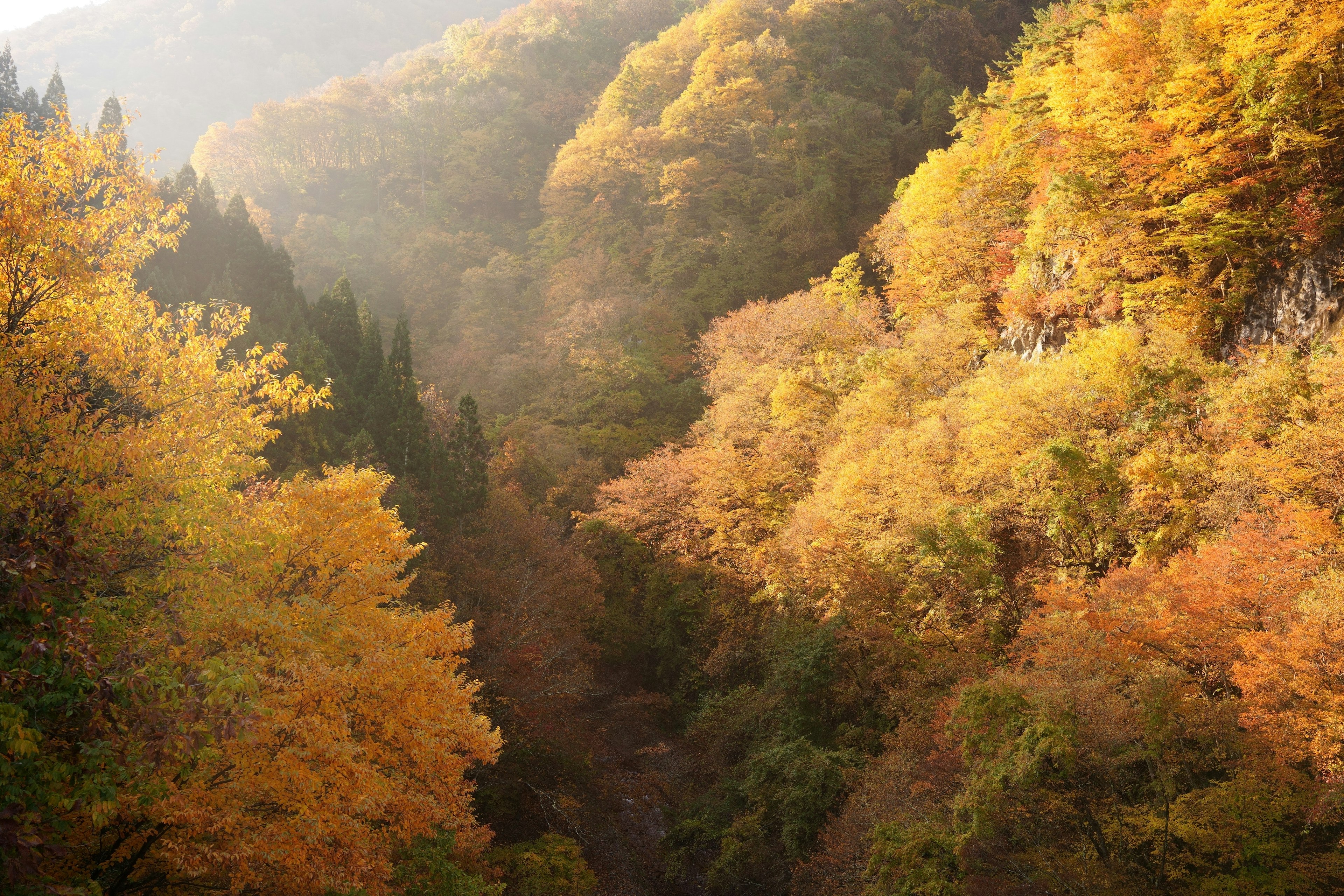 秋の山々の美しい風景色と色鮮やかな紅葉