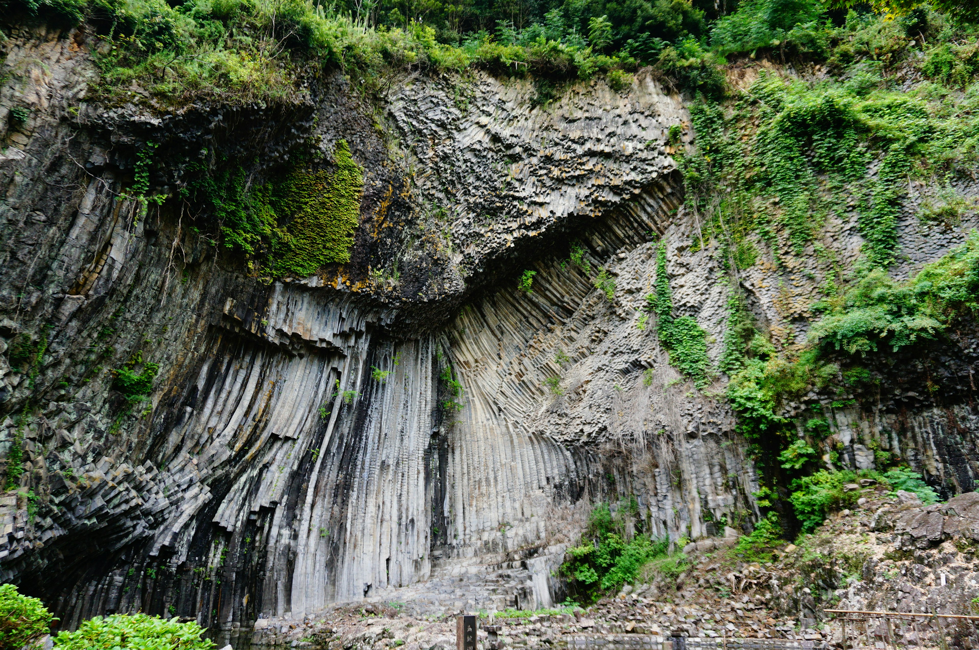 岩石の層と緑の植物が見える崖の写真