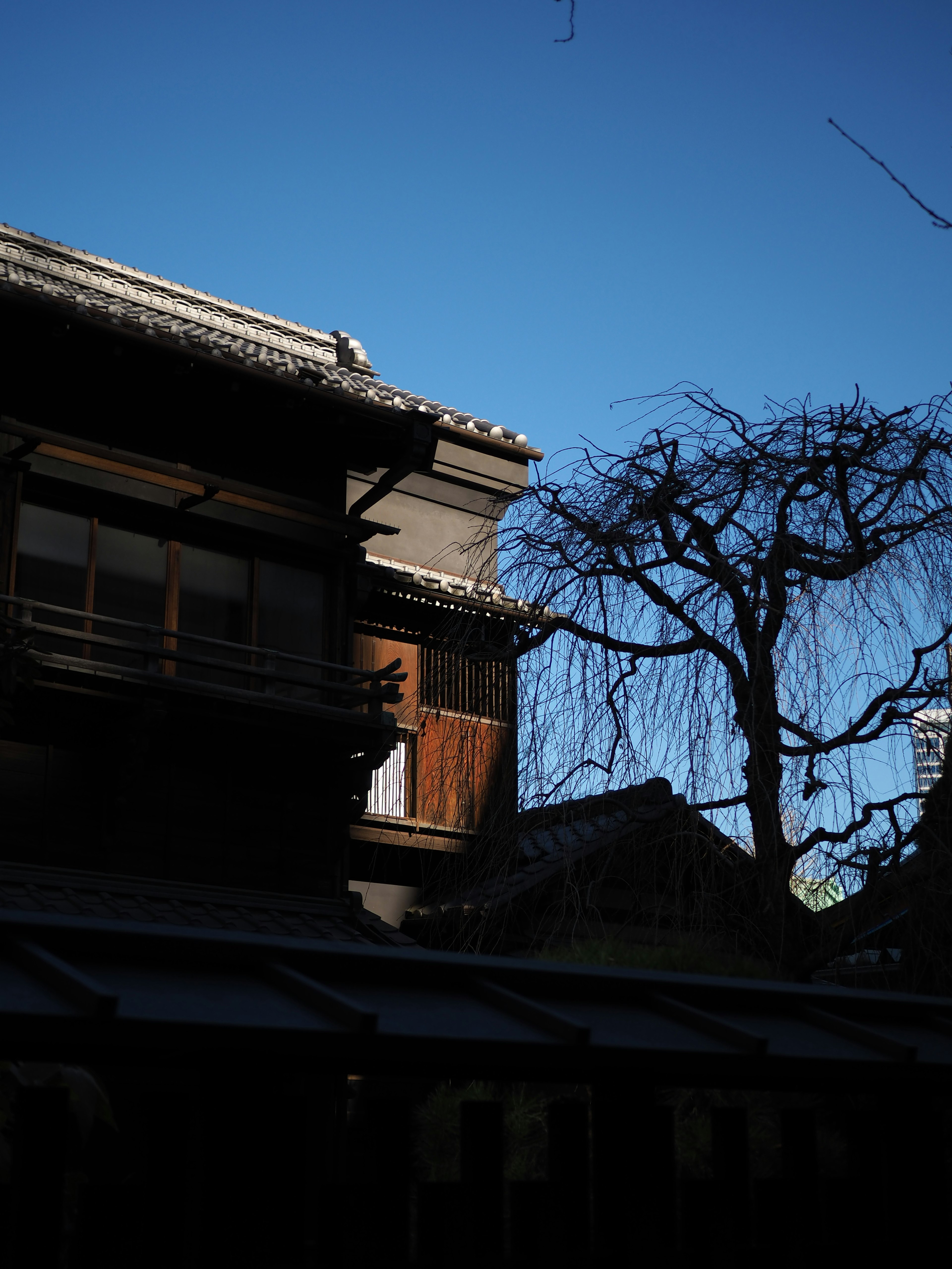 青空の下にシルエットのような伝統的な日本の建物と木