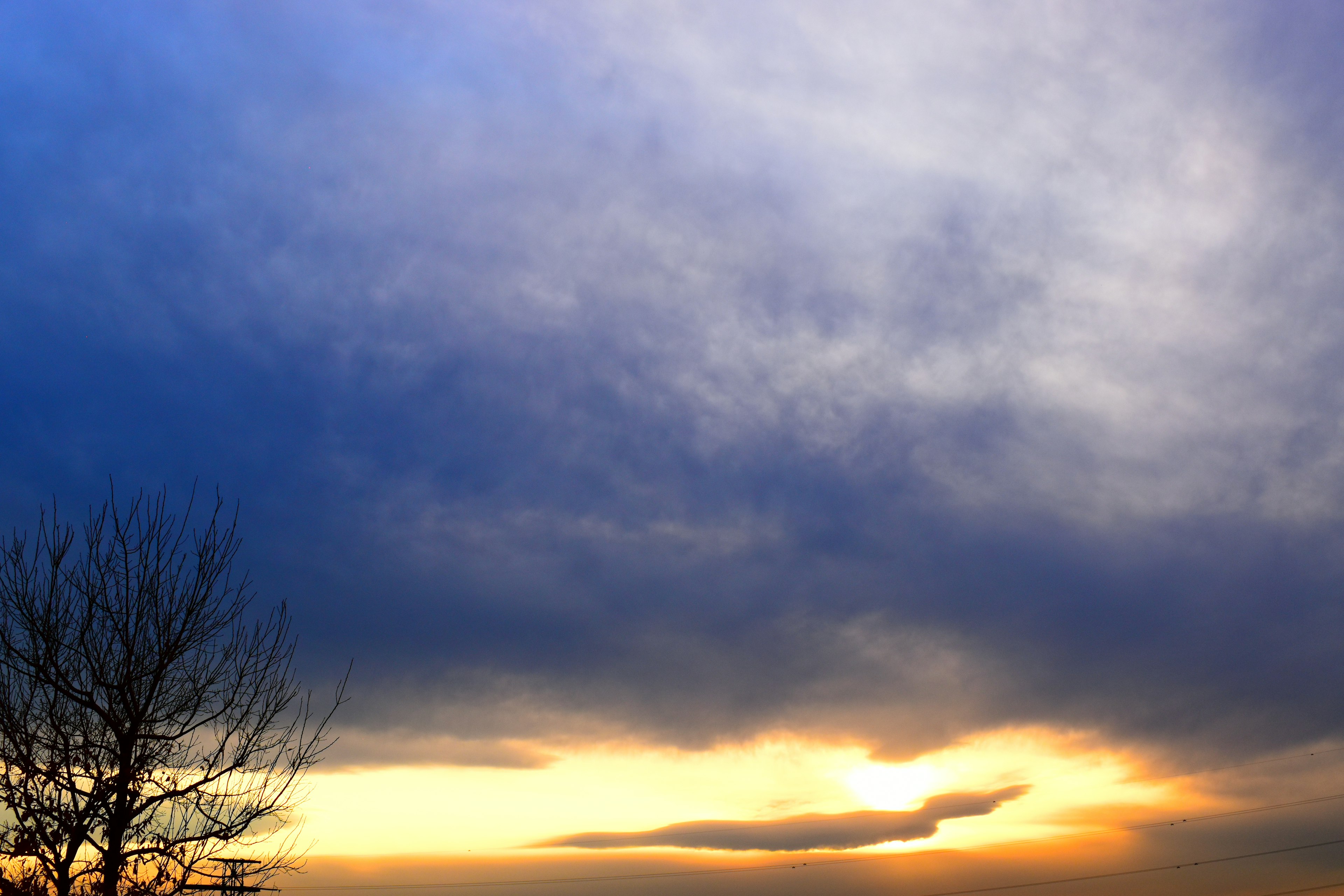 Silhouette eines Baumes vor einem bunten Sonnenuntergangshimmel