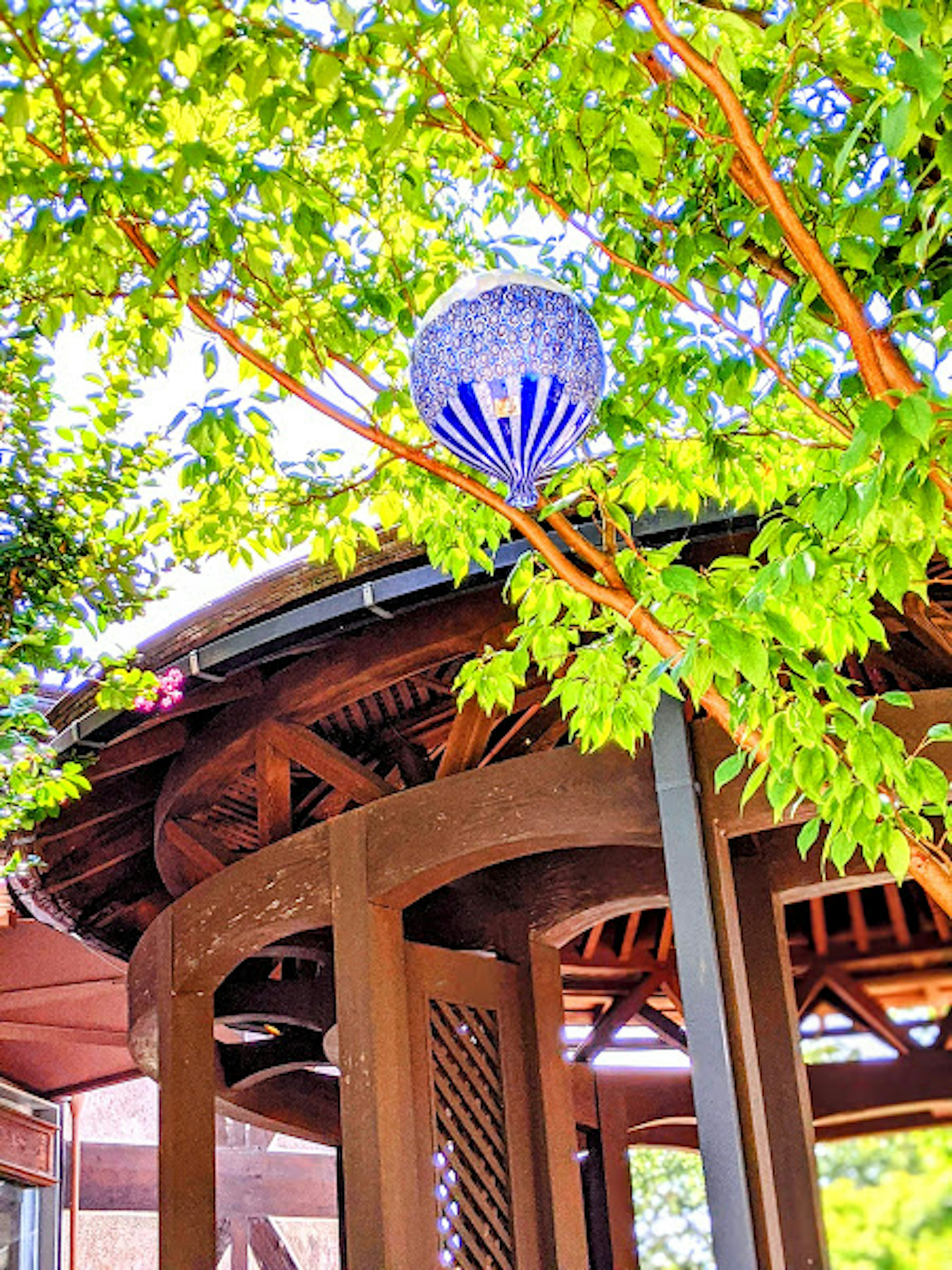 A blue lantern visible among the leaves of a wooden pavilion