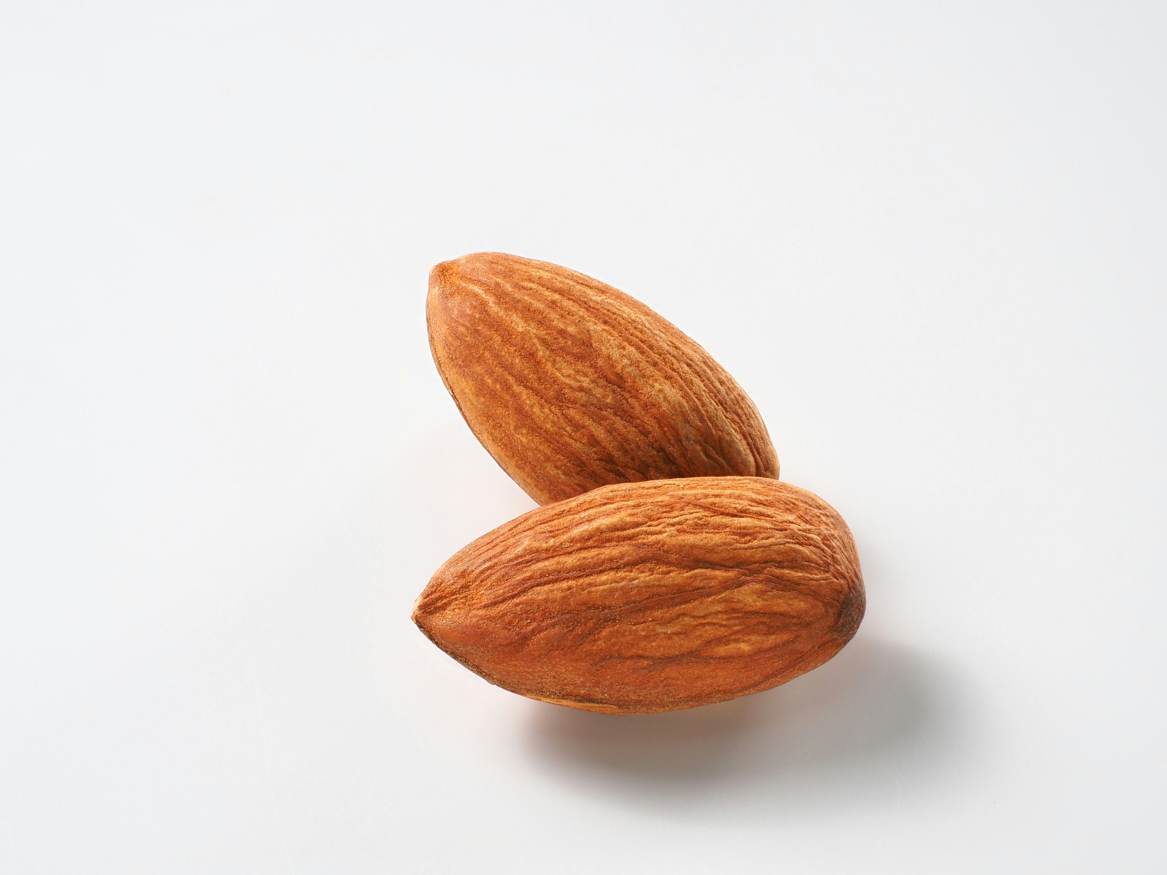 Two almonds placed on a white background