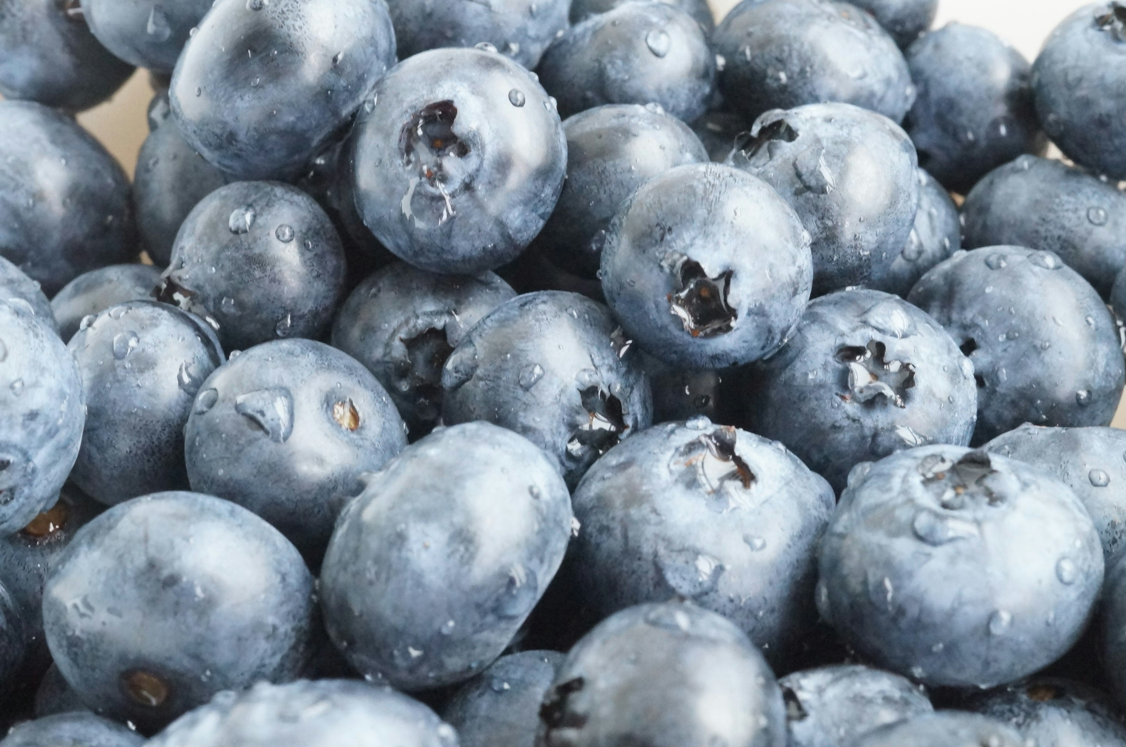 Close-up photo of fresh blueberries