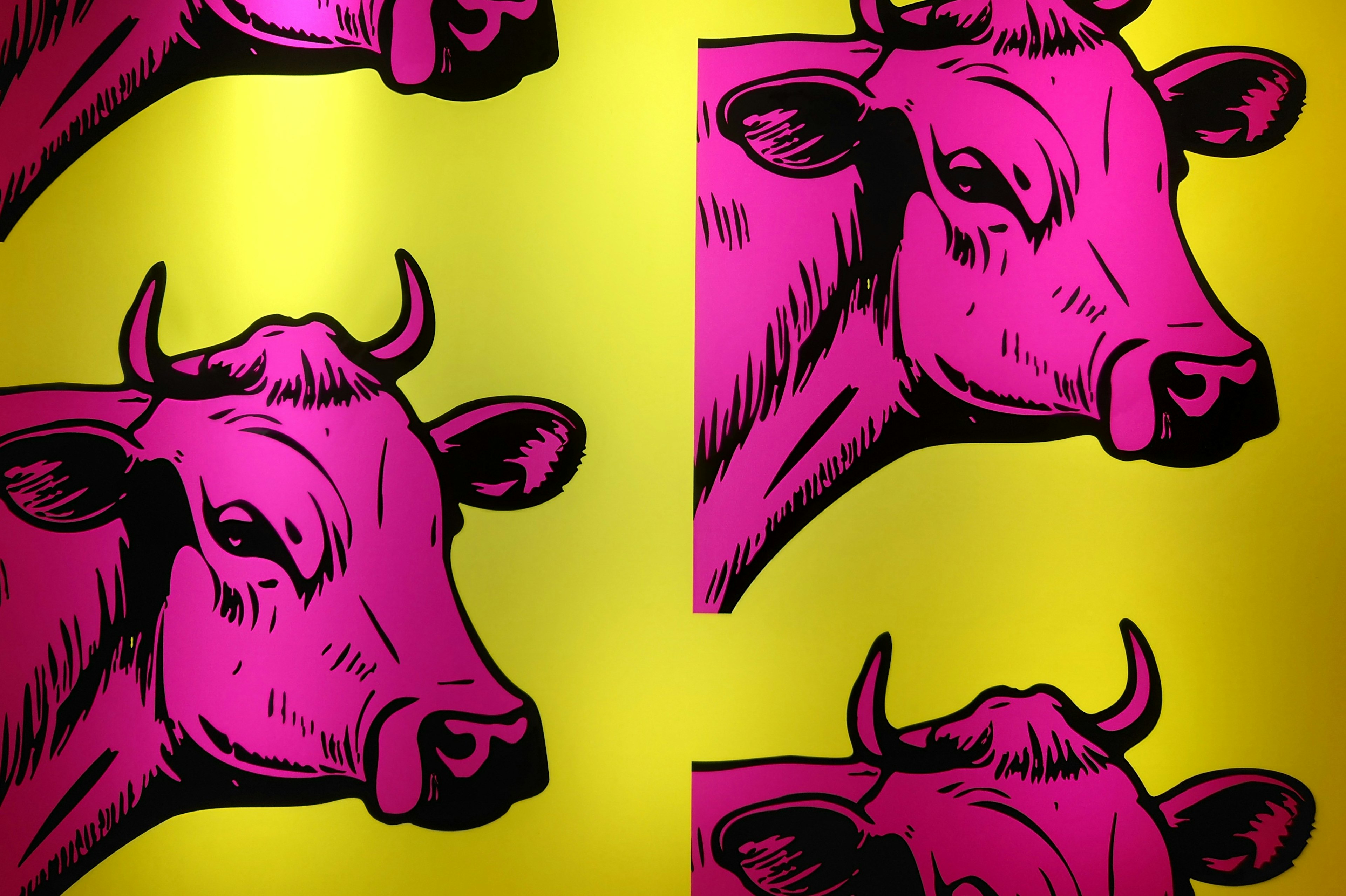 Ilustración de vacas rosas dispuestas sobre un fondo amarillo