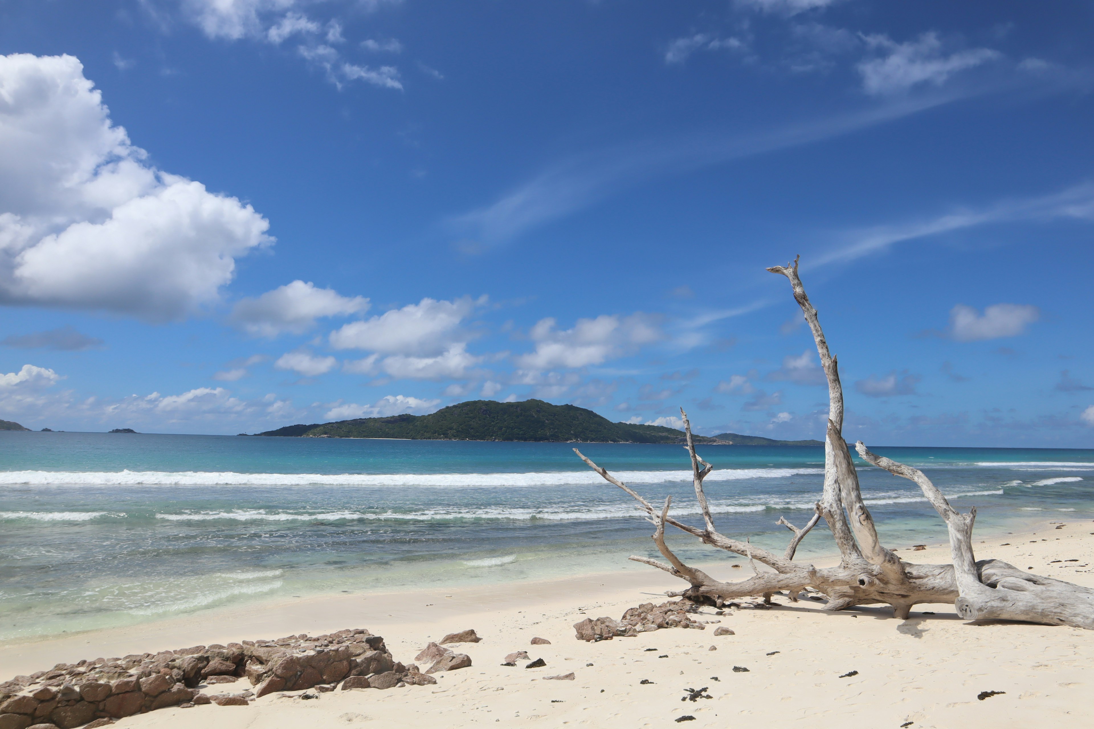 Scenic beach view with blue sky and white clouds gentle waves lapping at sandy shore driftwood in foreground