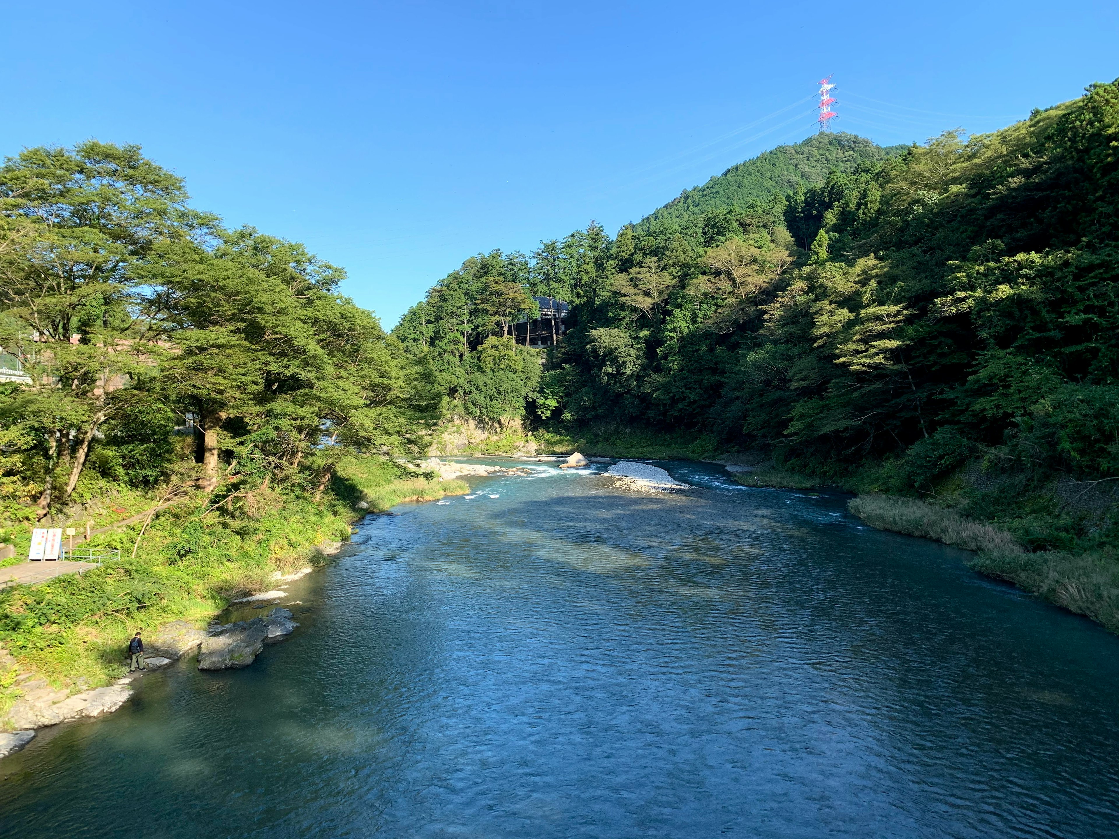 青空の下の静かな川と緑の木々