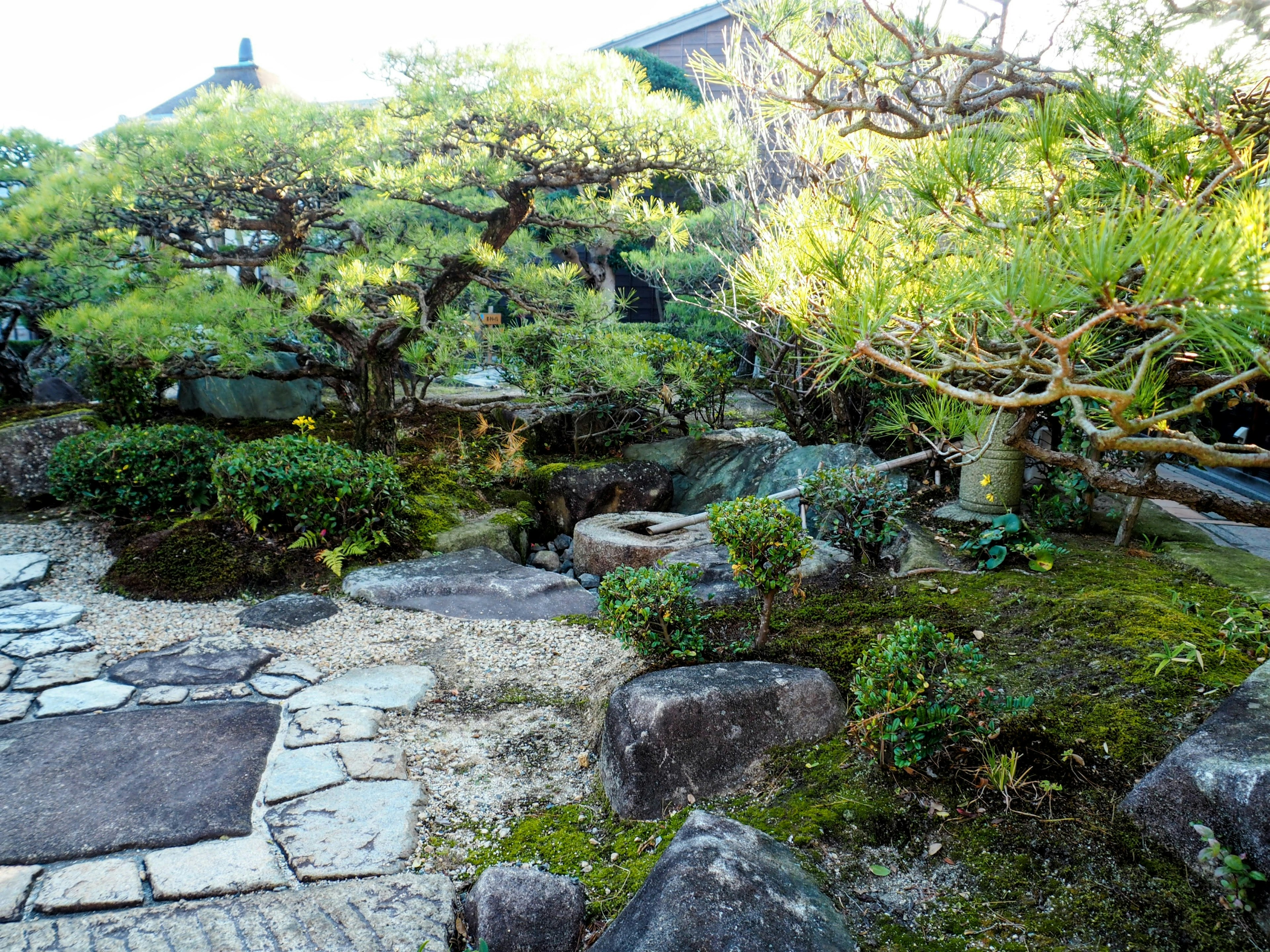 Scena di giardino giapponese lussureggiante con sentiero in pietra e rocce coperte di muschio