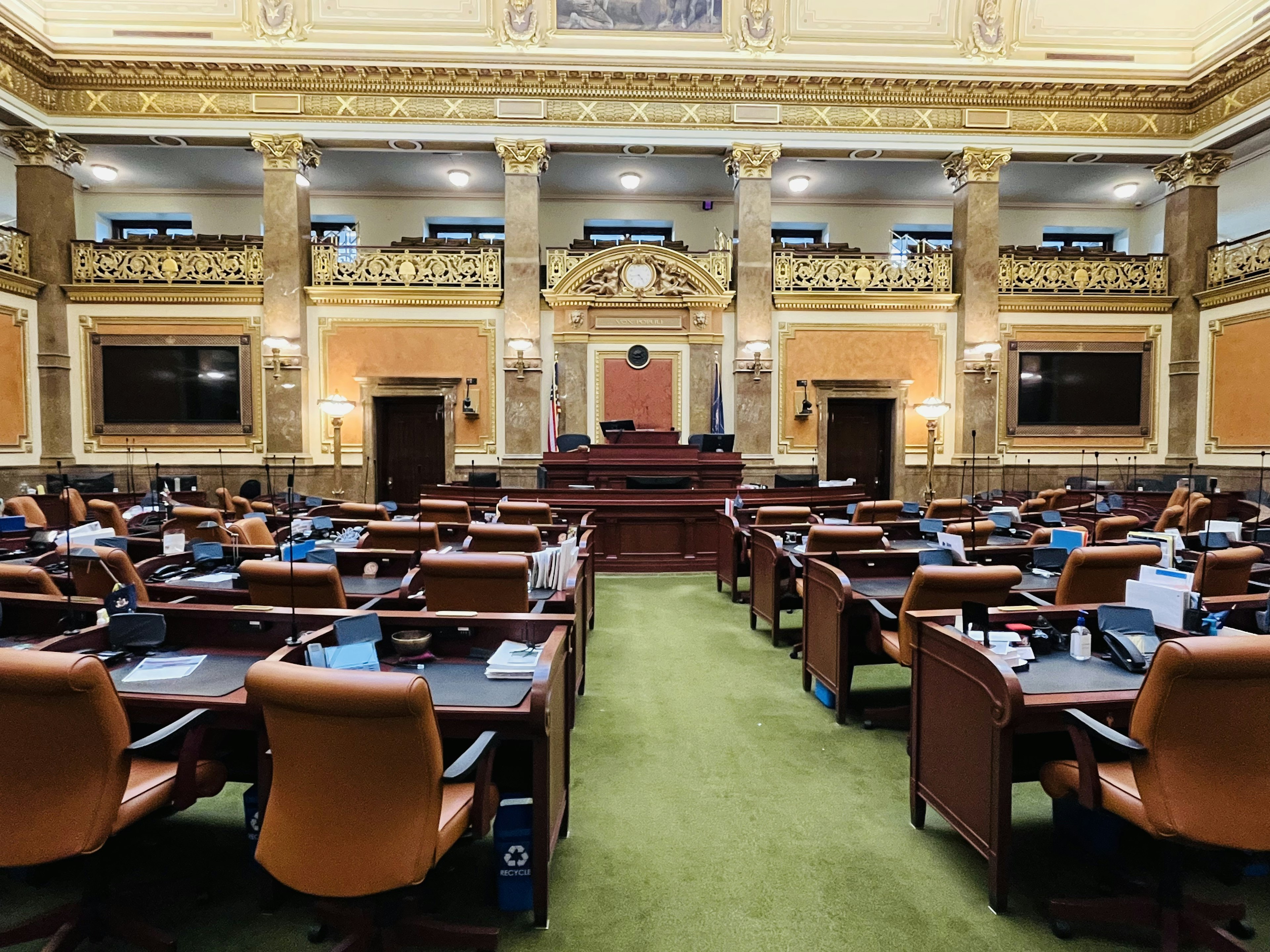 Interno spazioso di una camera legislativa con dettagli dorati decorativi scrivanie disposte ordinatamente moquette verde