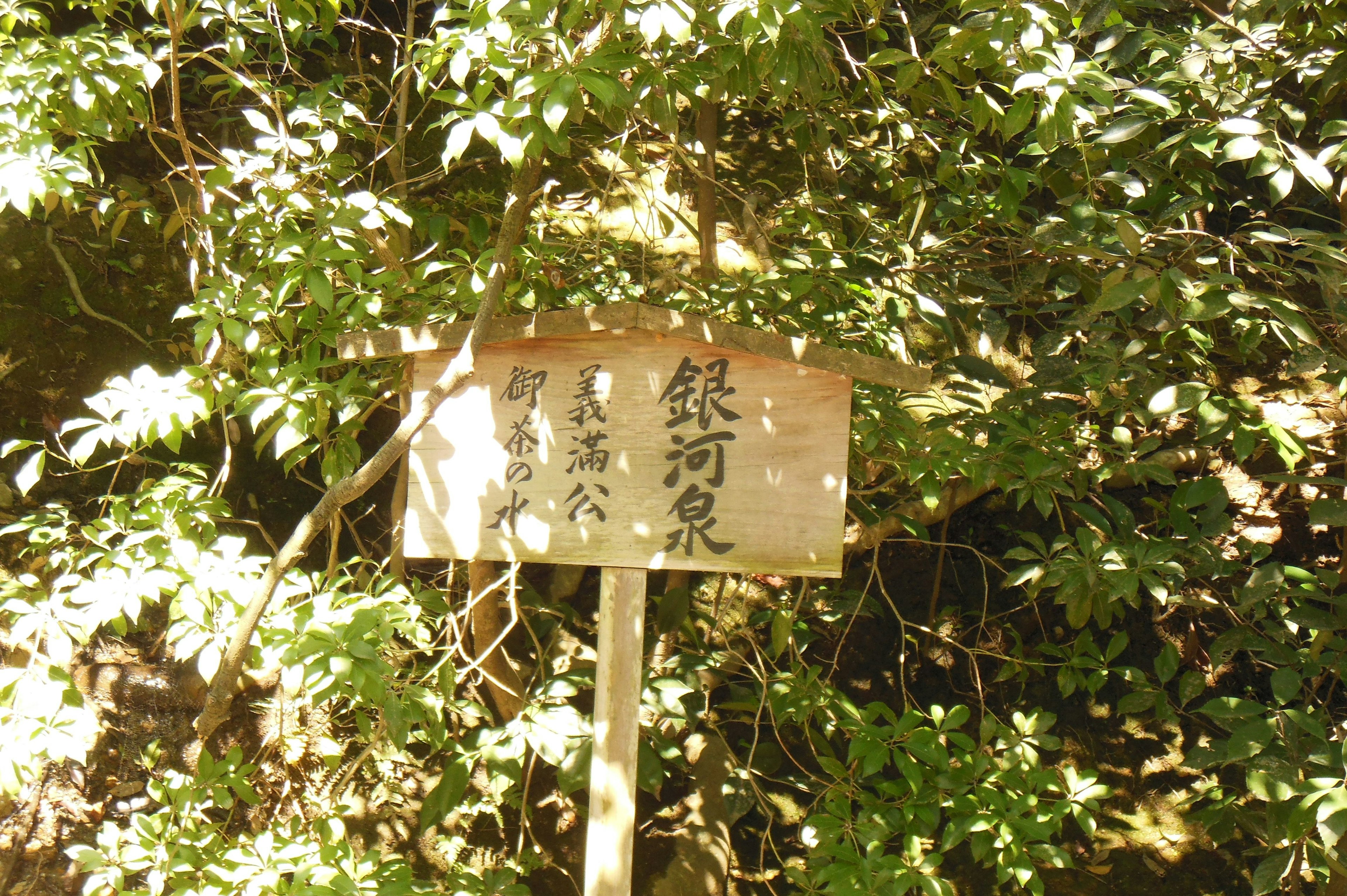 Wooden sign in nature indicating Ginga Onsen surrounded by green leaves