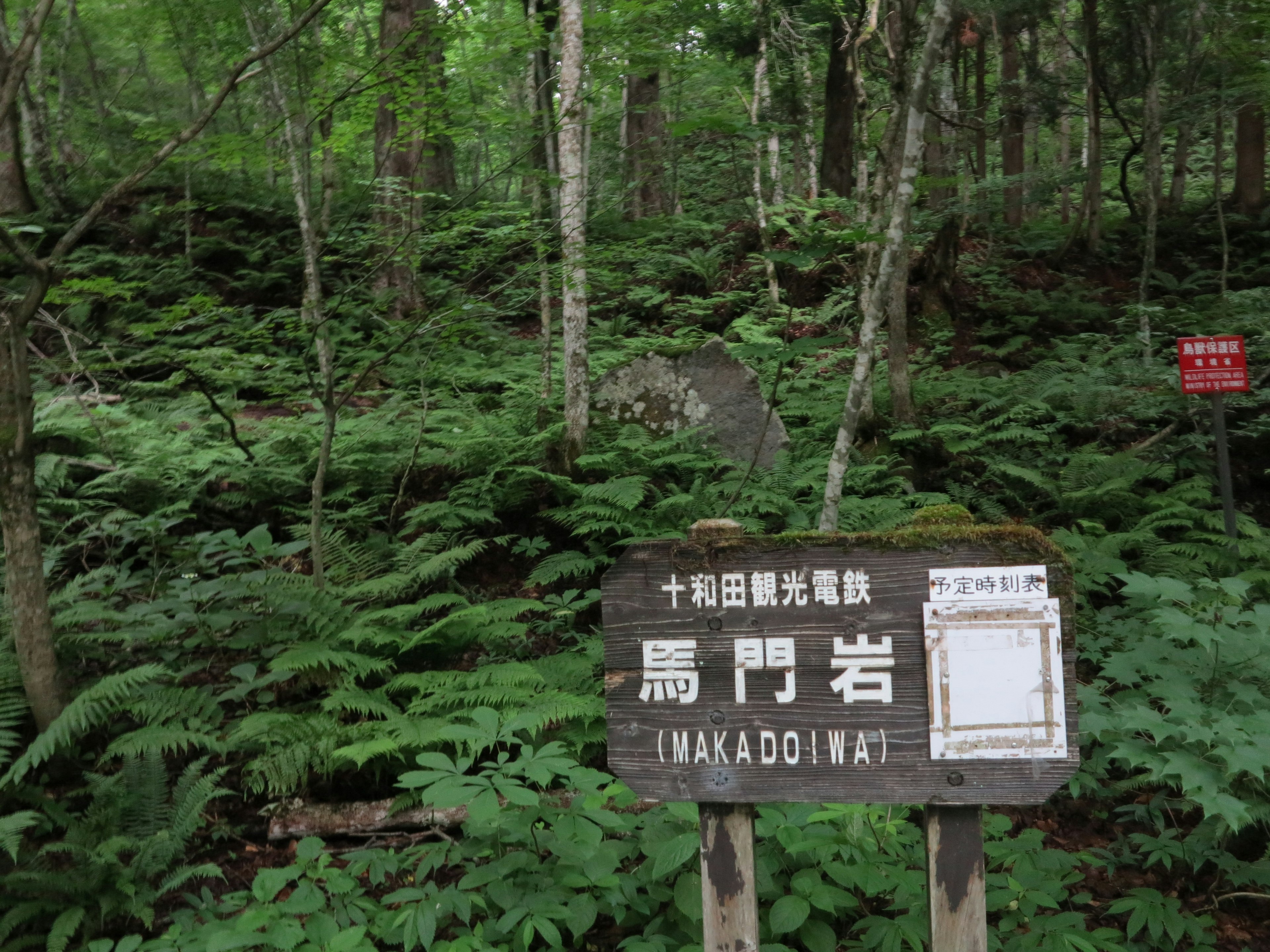 Sign for Takadoi Rock surrounded by lush green forest