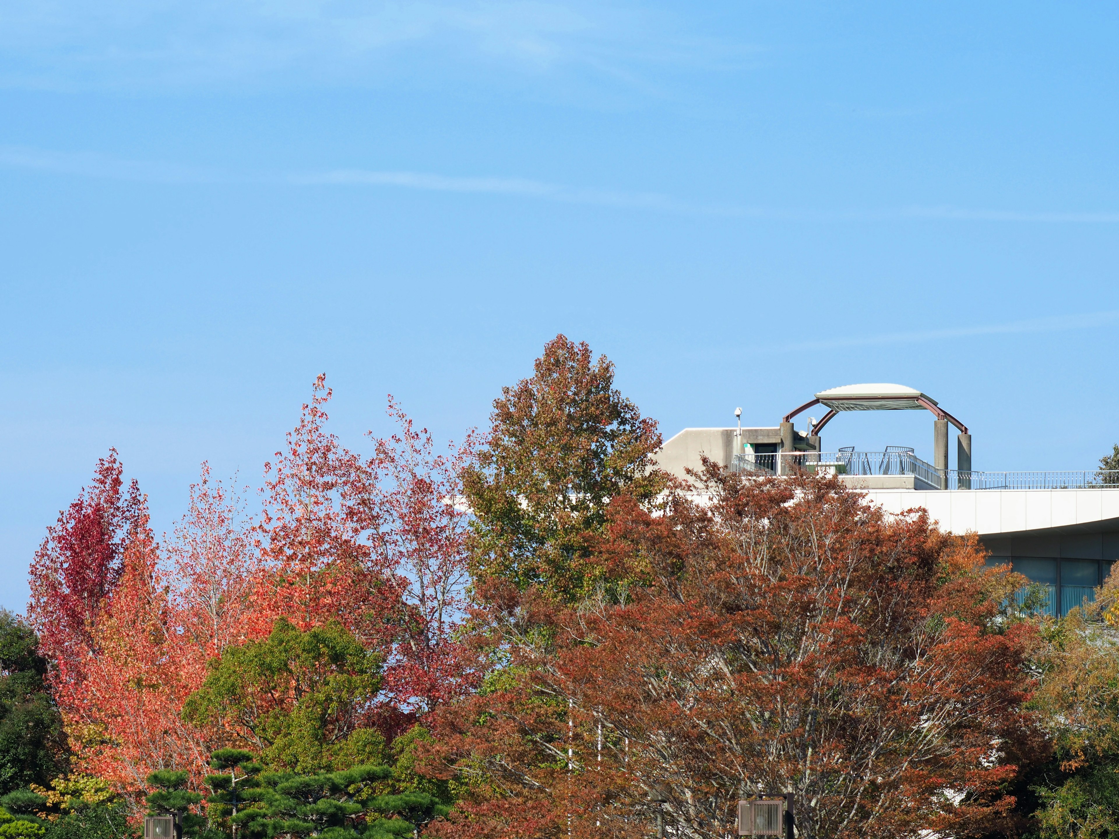 Paesaggio con alberi colorati e un edificio moderno sotto un cielo azzurro