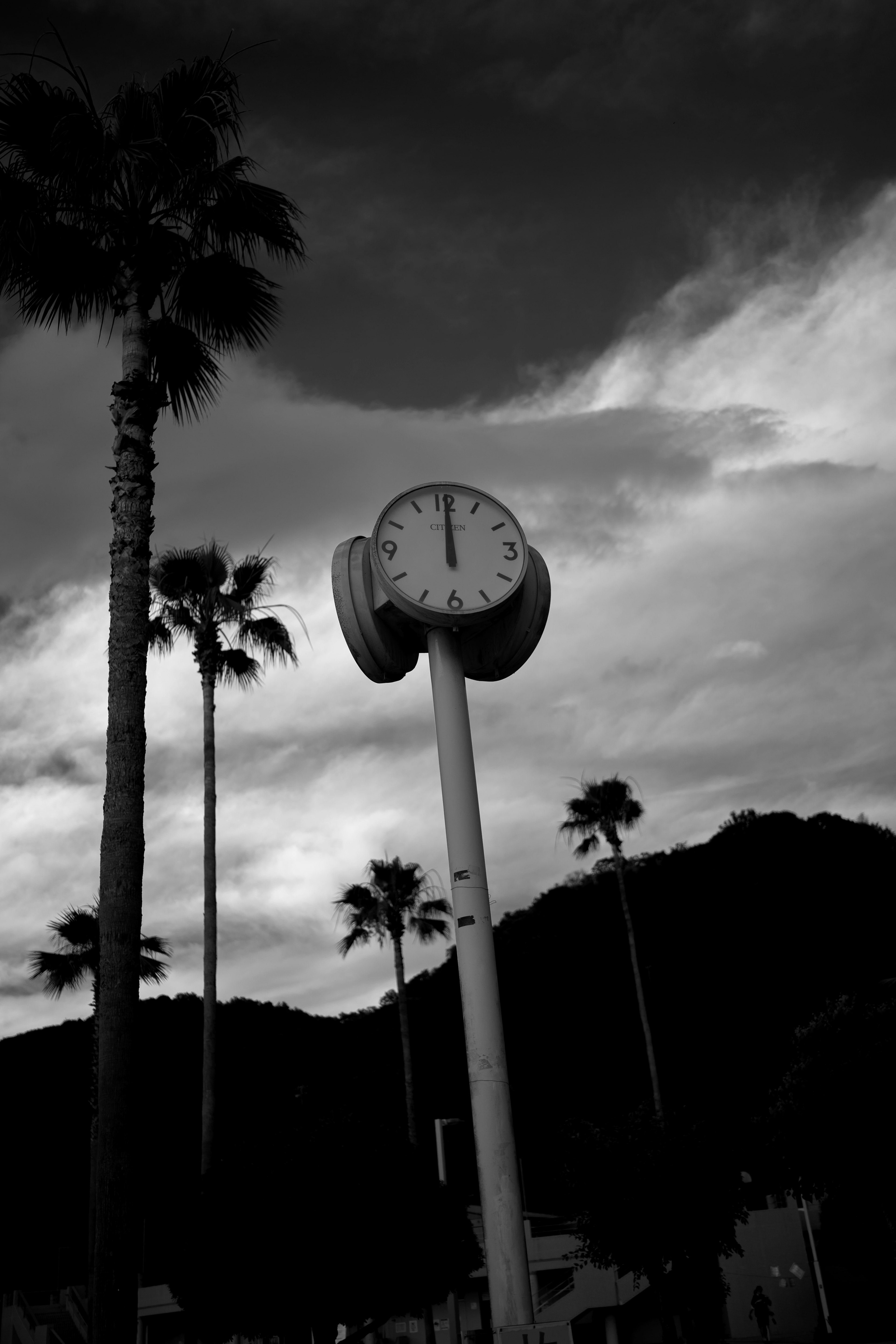 Uhr, die zwischen Palmen unter einem dramatischen Himmel steht