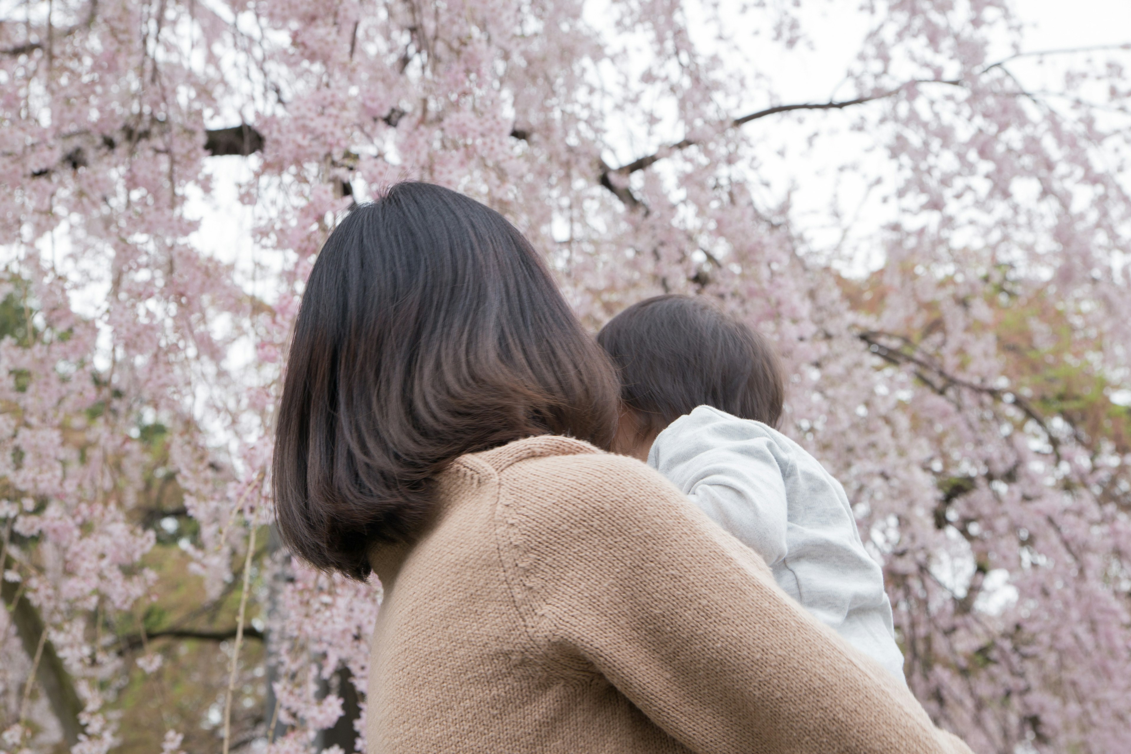 Femme tenant un bébé sous un cerisier en fleurs