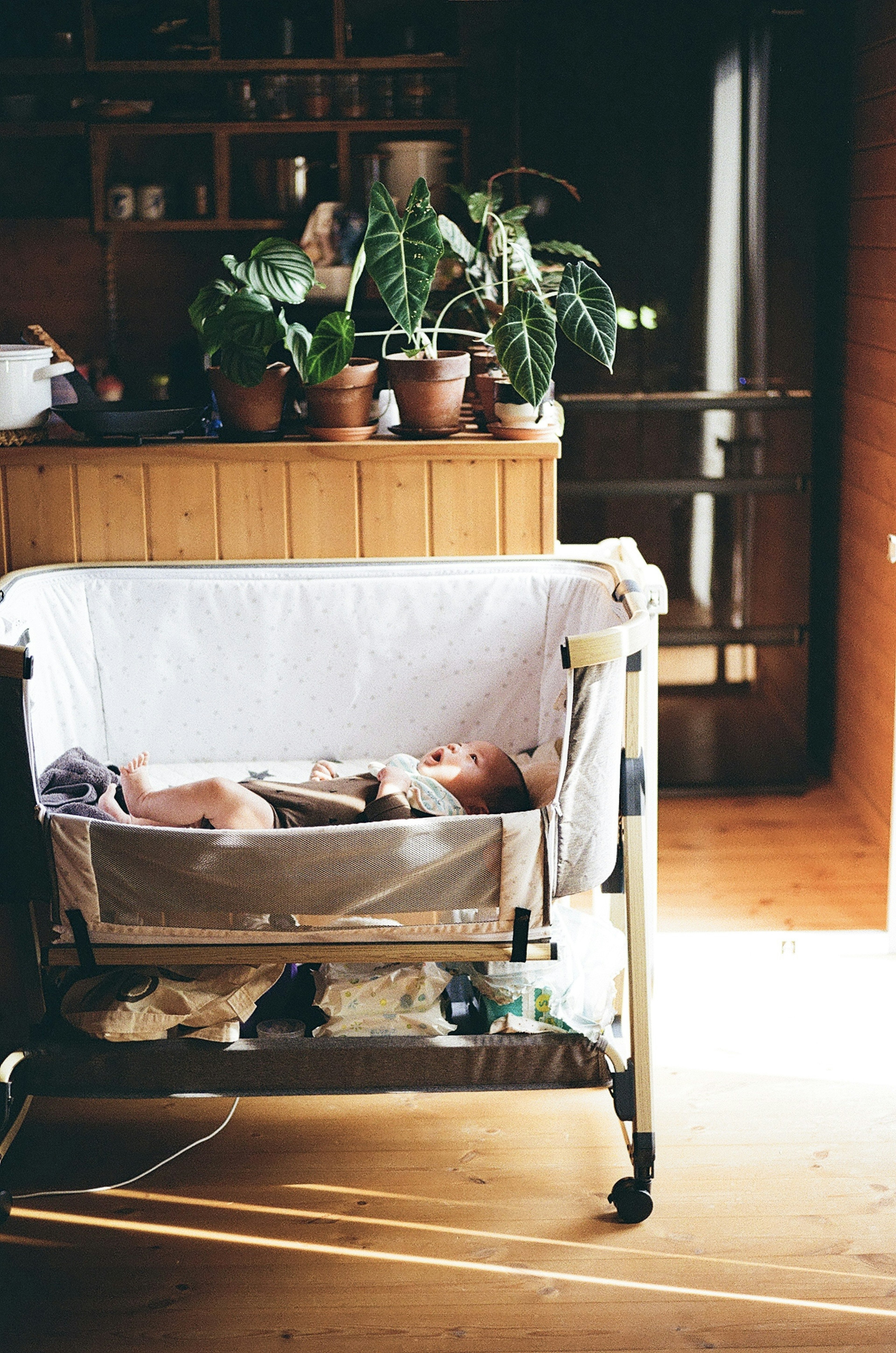 A baby sleeping in a bassinet with houseplants in a cozy indoor setting