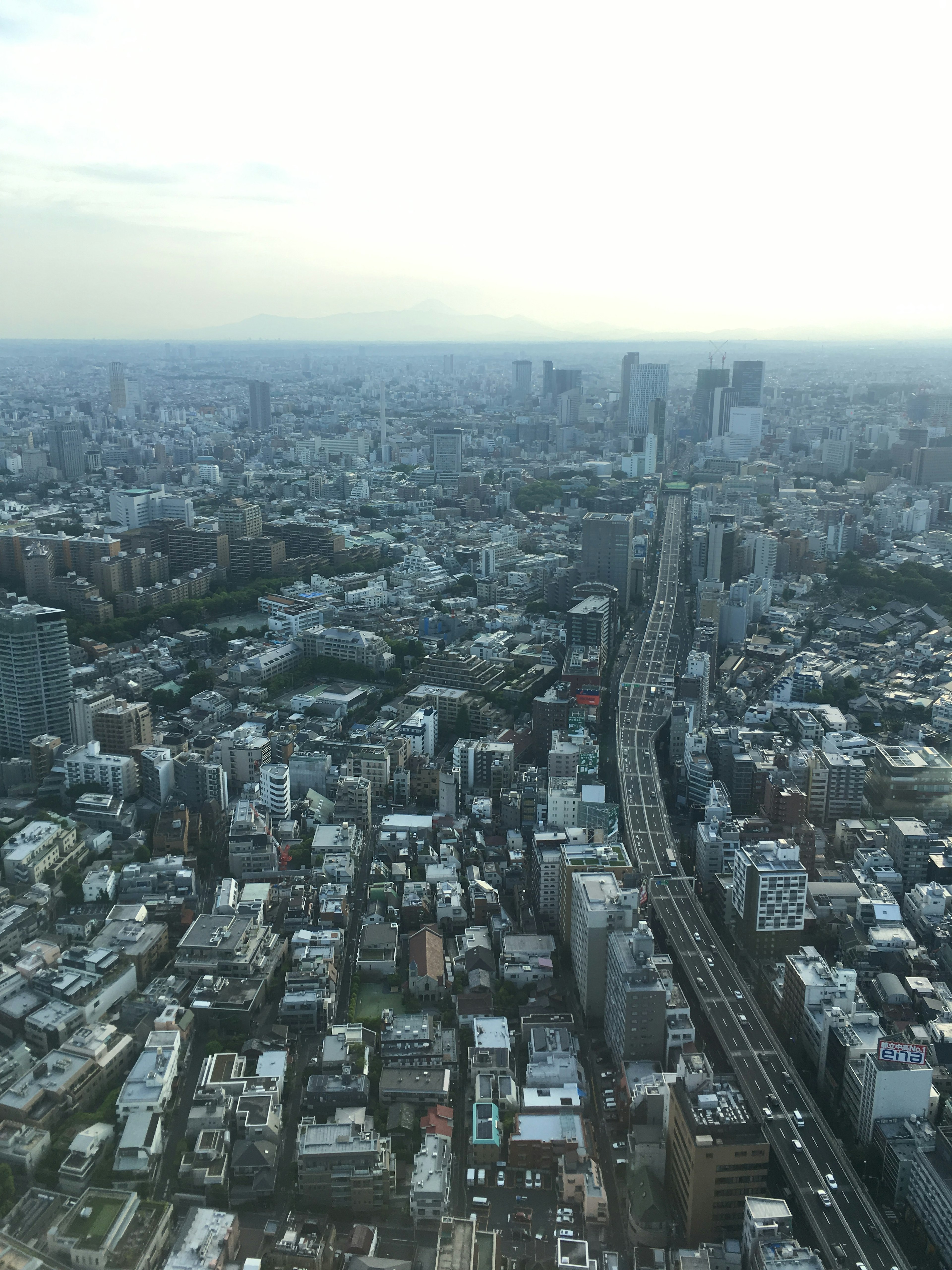 Luftaufnahme der weiten städtischen Landschaft von Tokio