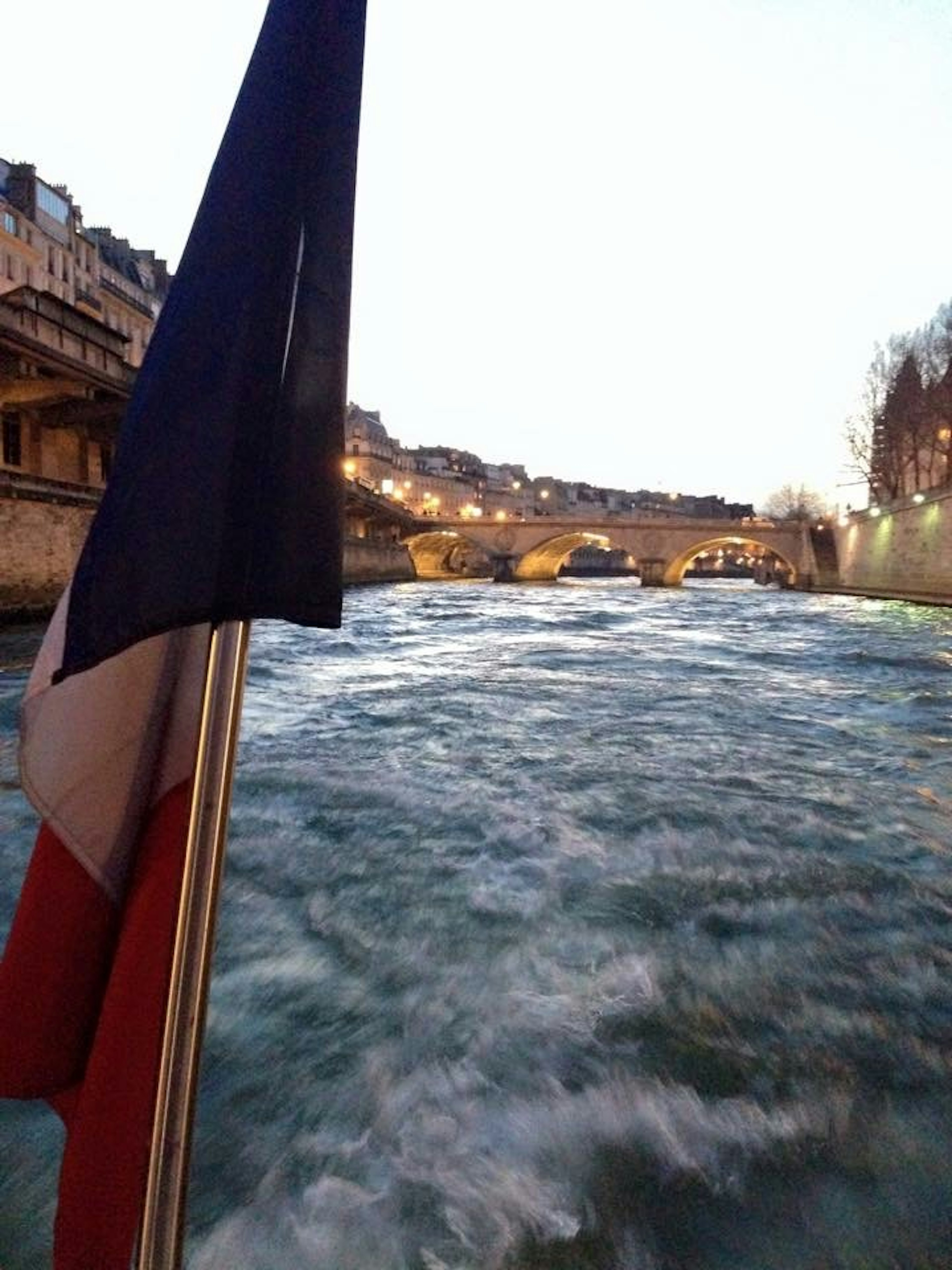 View of the Seine River with a French flag and illuminated buildings at dusk