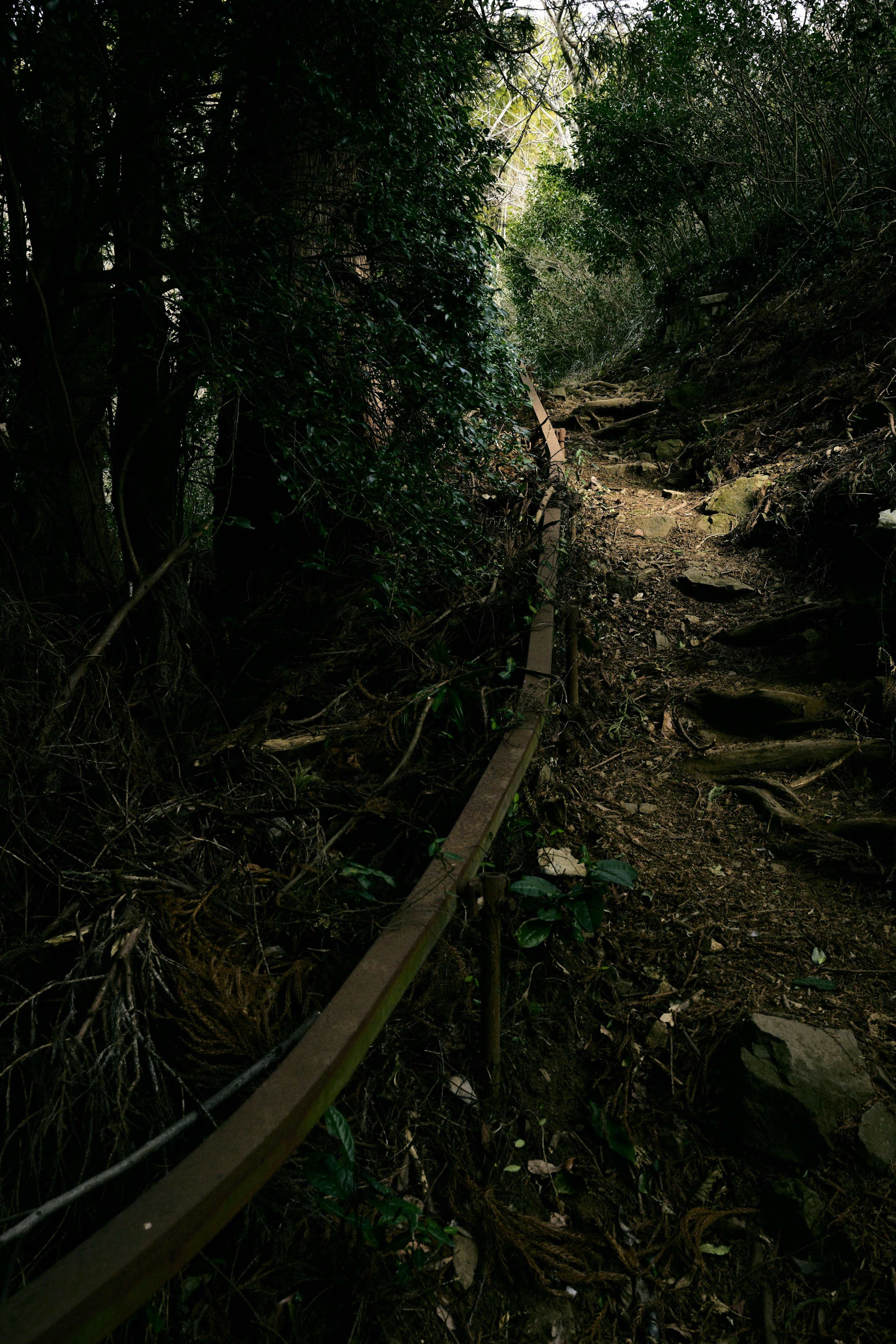 Narrow path surrounded by trees with an old iron railing