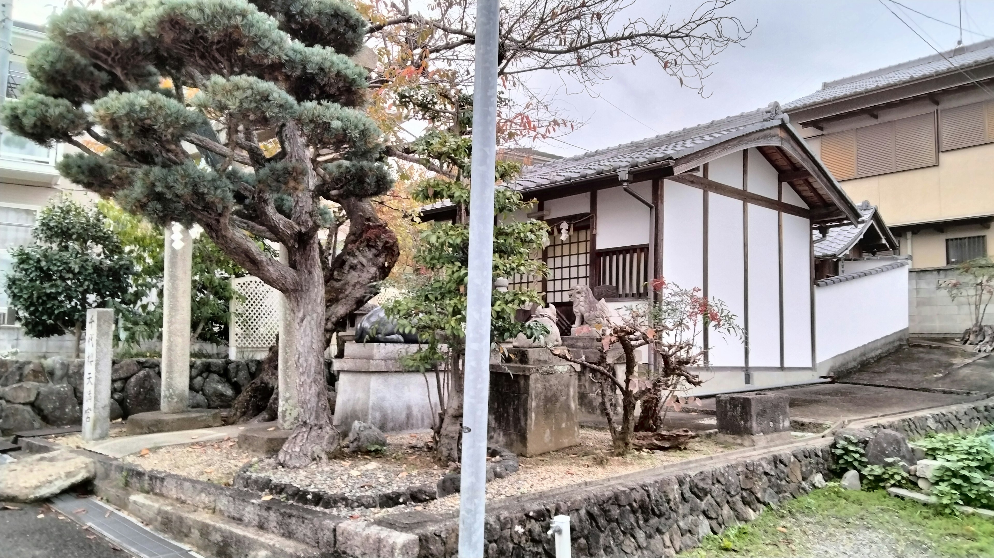 Casa giapponese tradizionale con giardino caratterizzato da un grande albero di pino e un pozzo in pietra