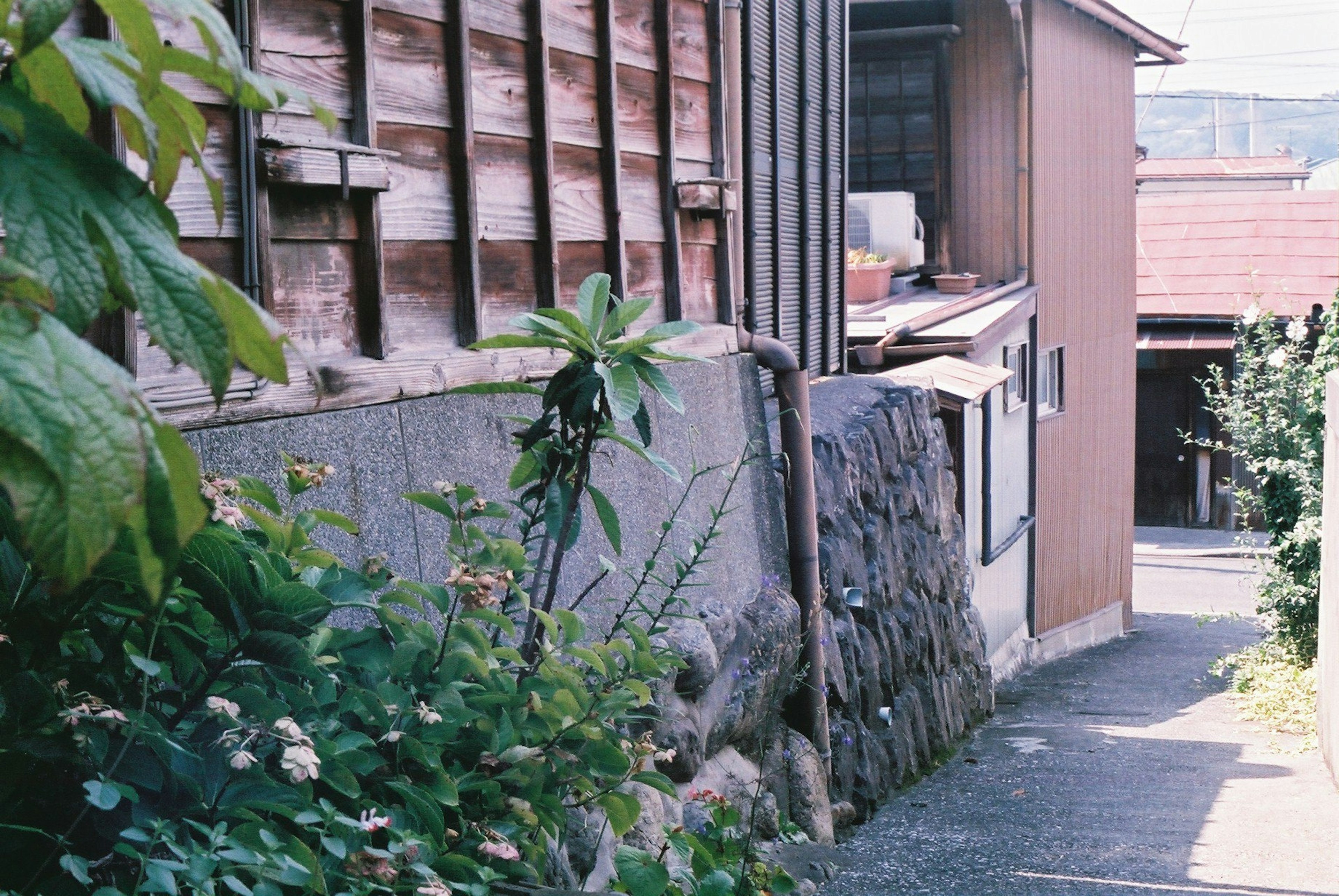 狭い小道に沿った古い家々と緑の植物の風景