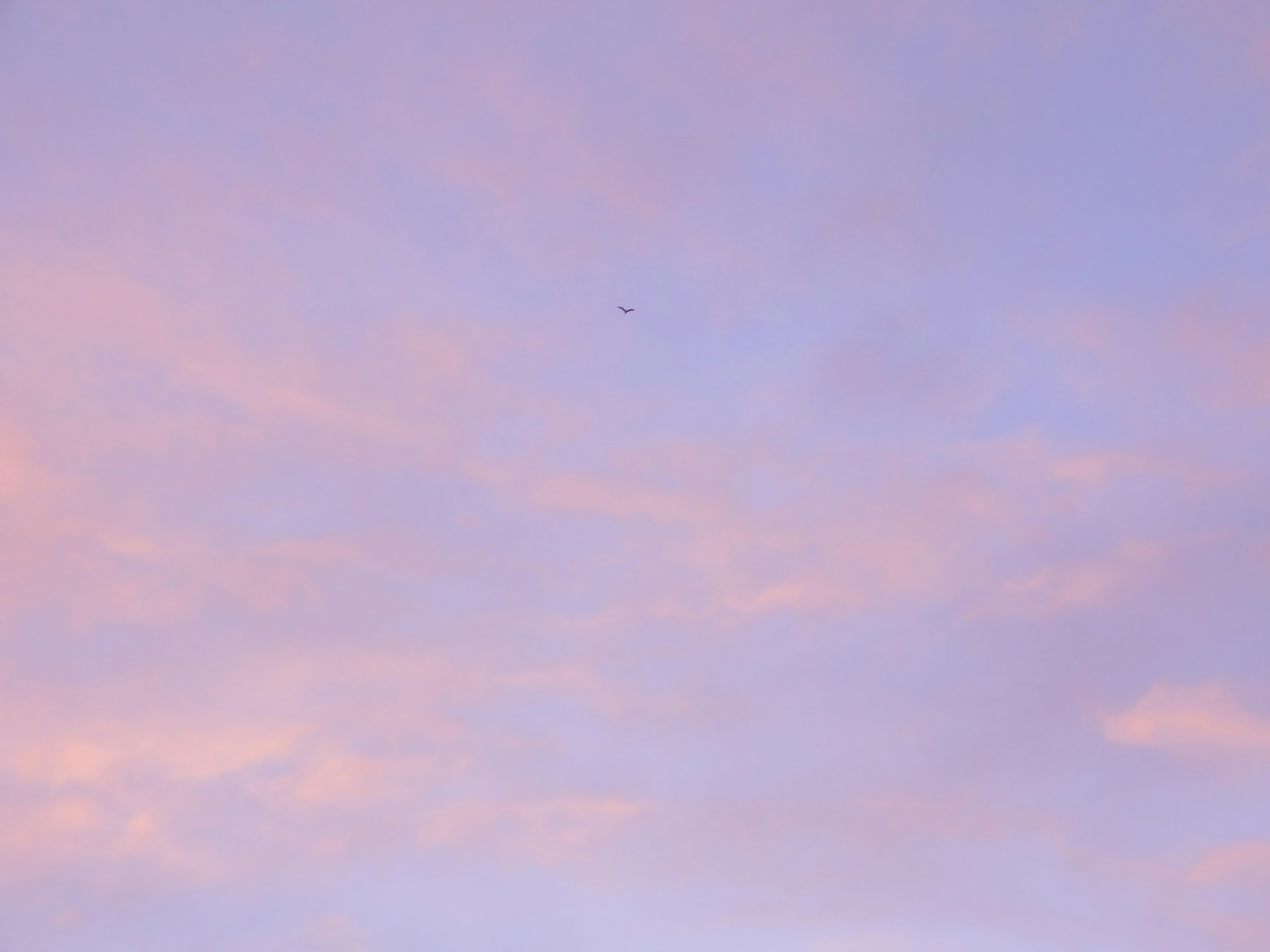 青紫色の空に小さな飛行機が映る美しい夕焼け