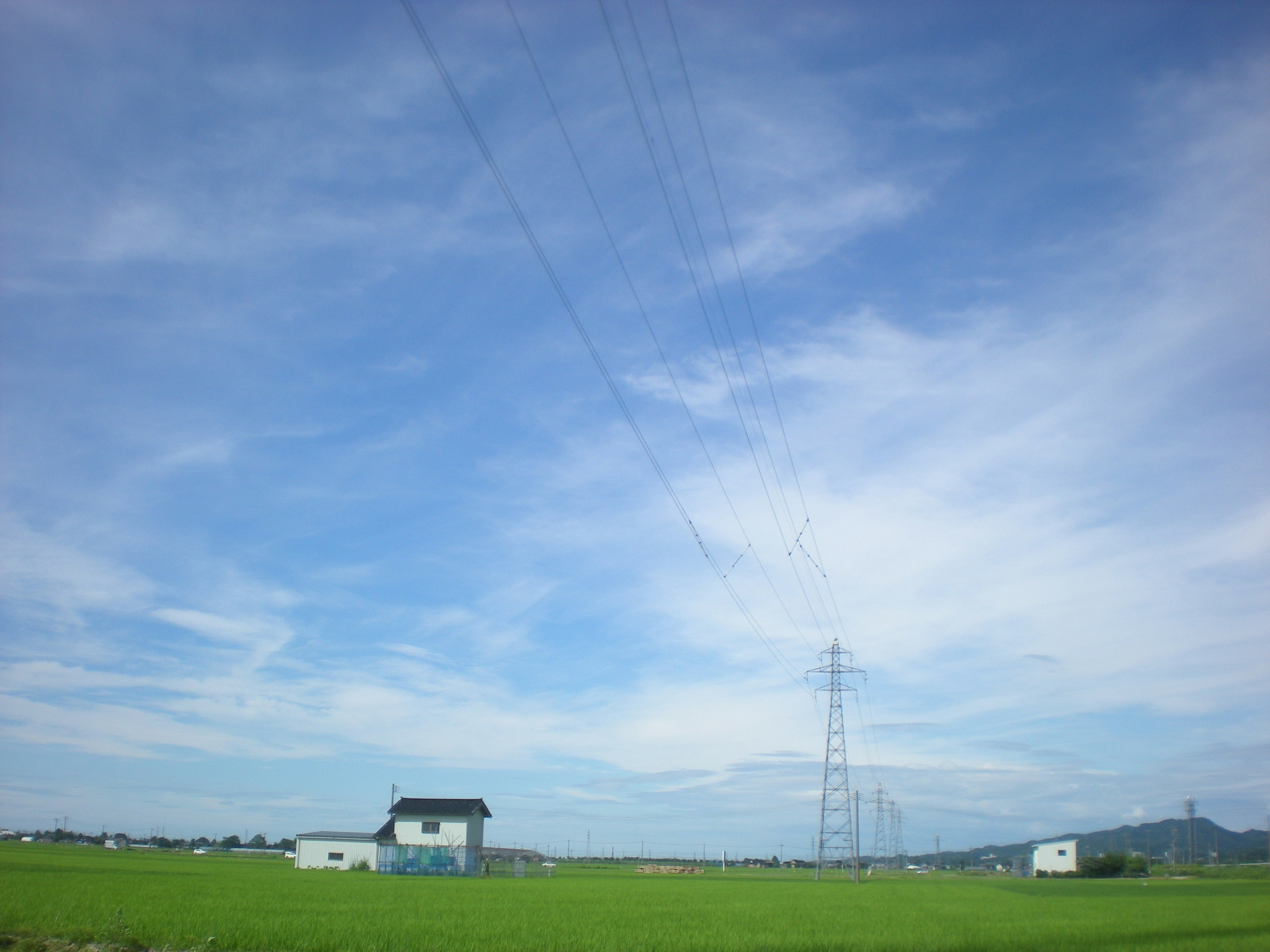 Ländliche Landschaft mit einem Haus und Stromleitungen unter blauem Himmel und weißen Wolken