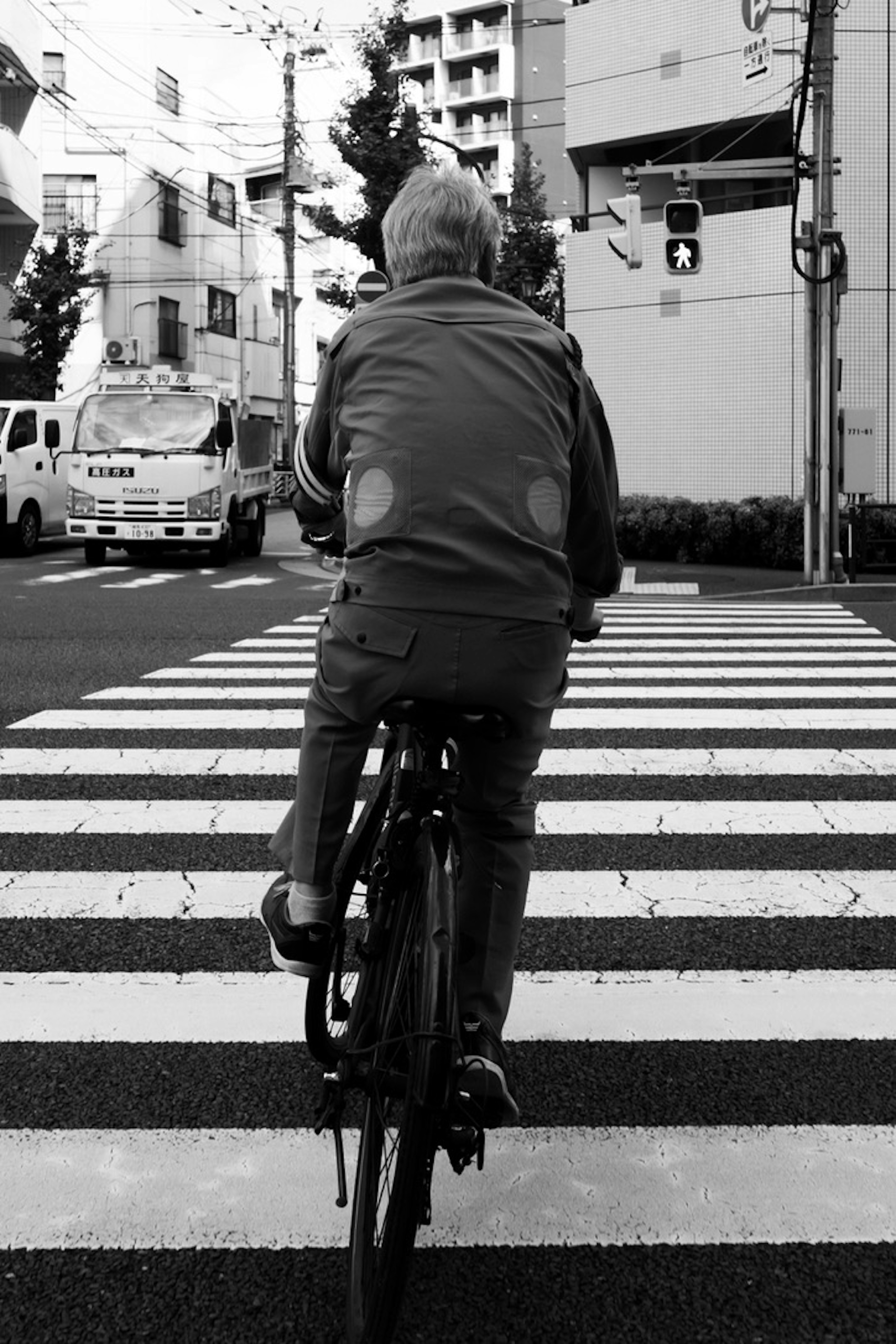 白黒の横断歩道を渡る自転車の後ろ姿の高齢者