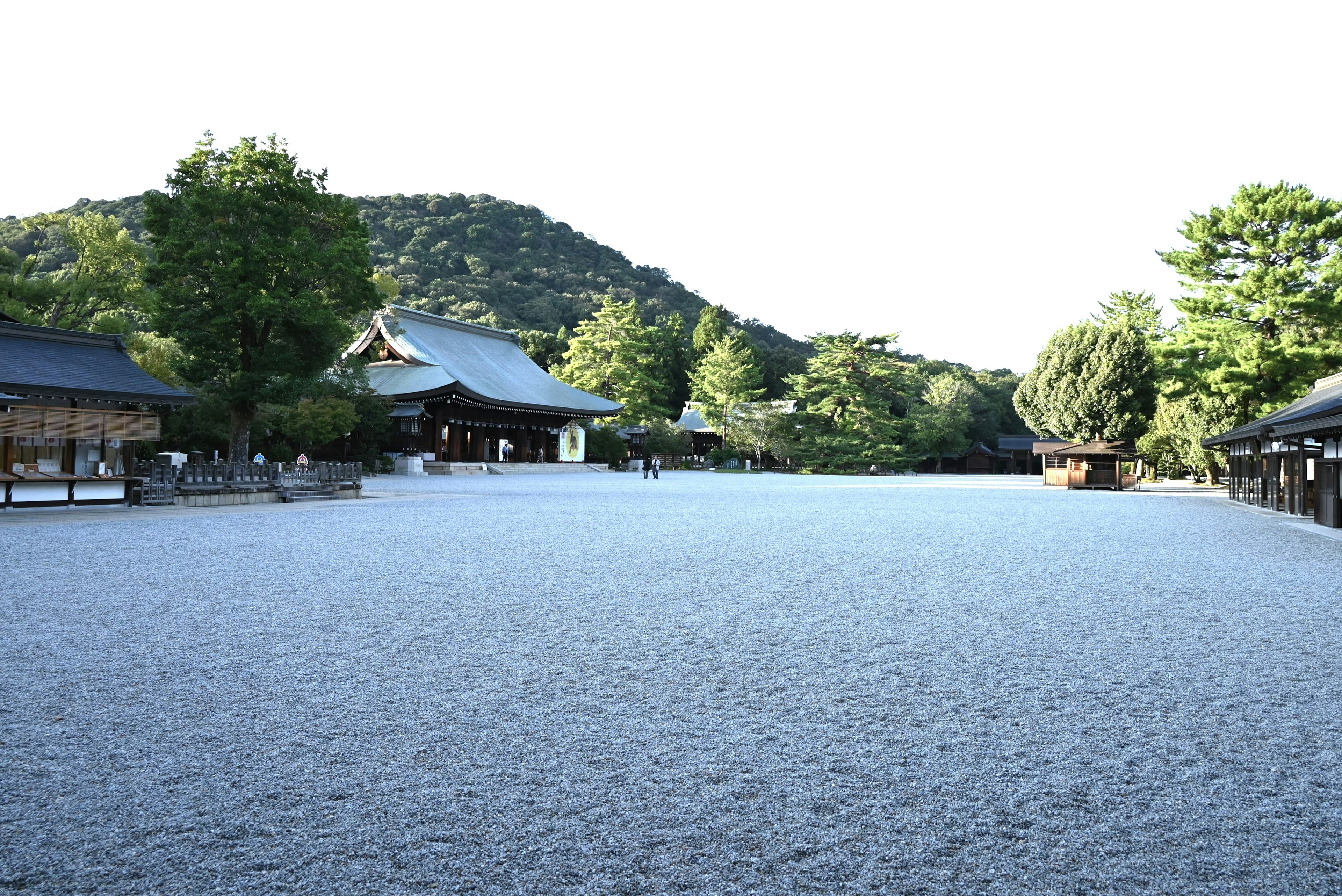 静かな庭園の風景で、緑豊かな木々と伝統的な建物が見える