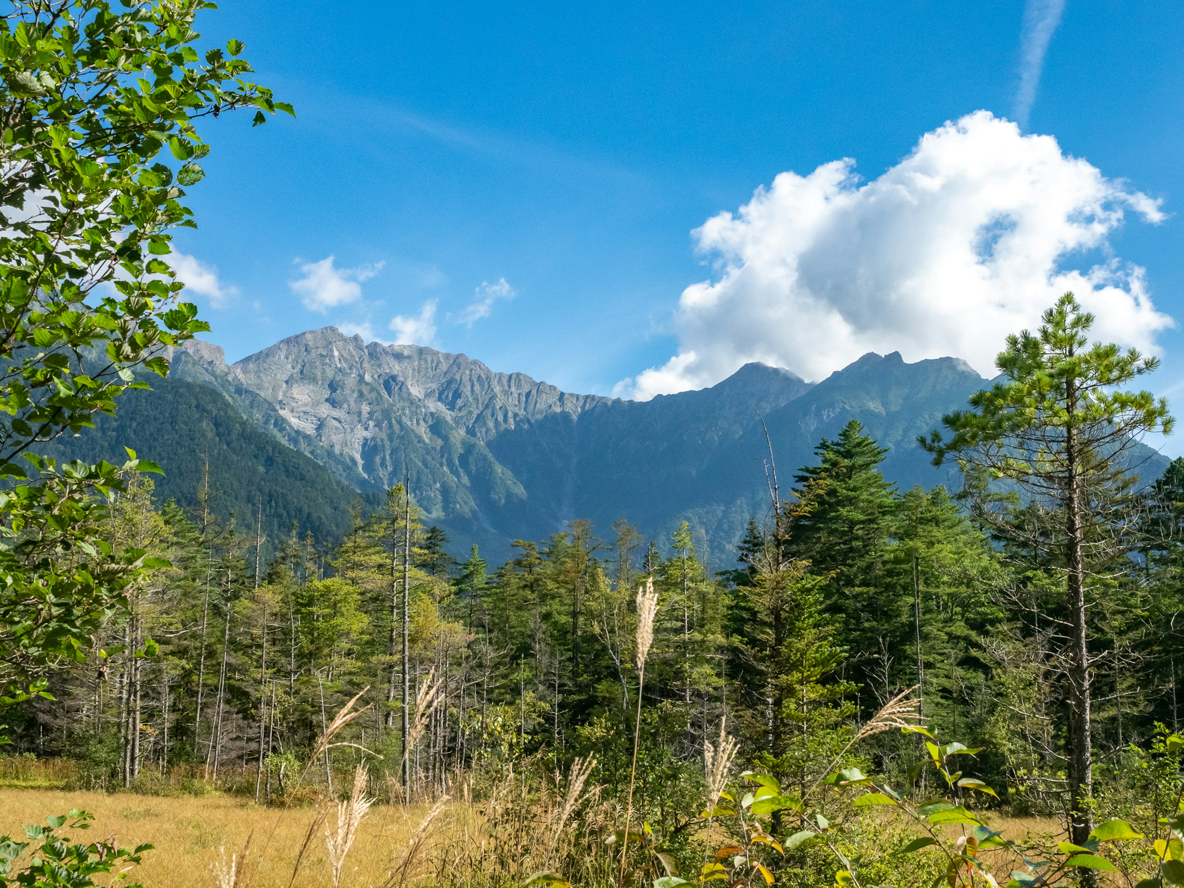 Hermosas montañas y árboles verdes bajo un cielo azul con nubes blancas