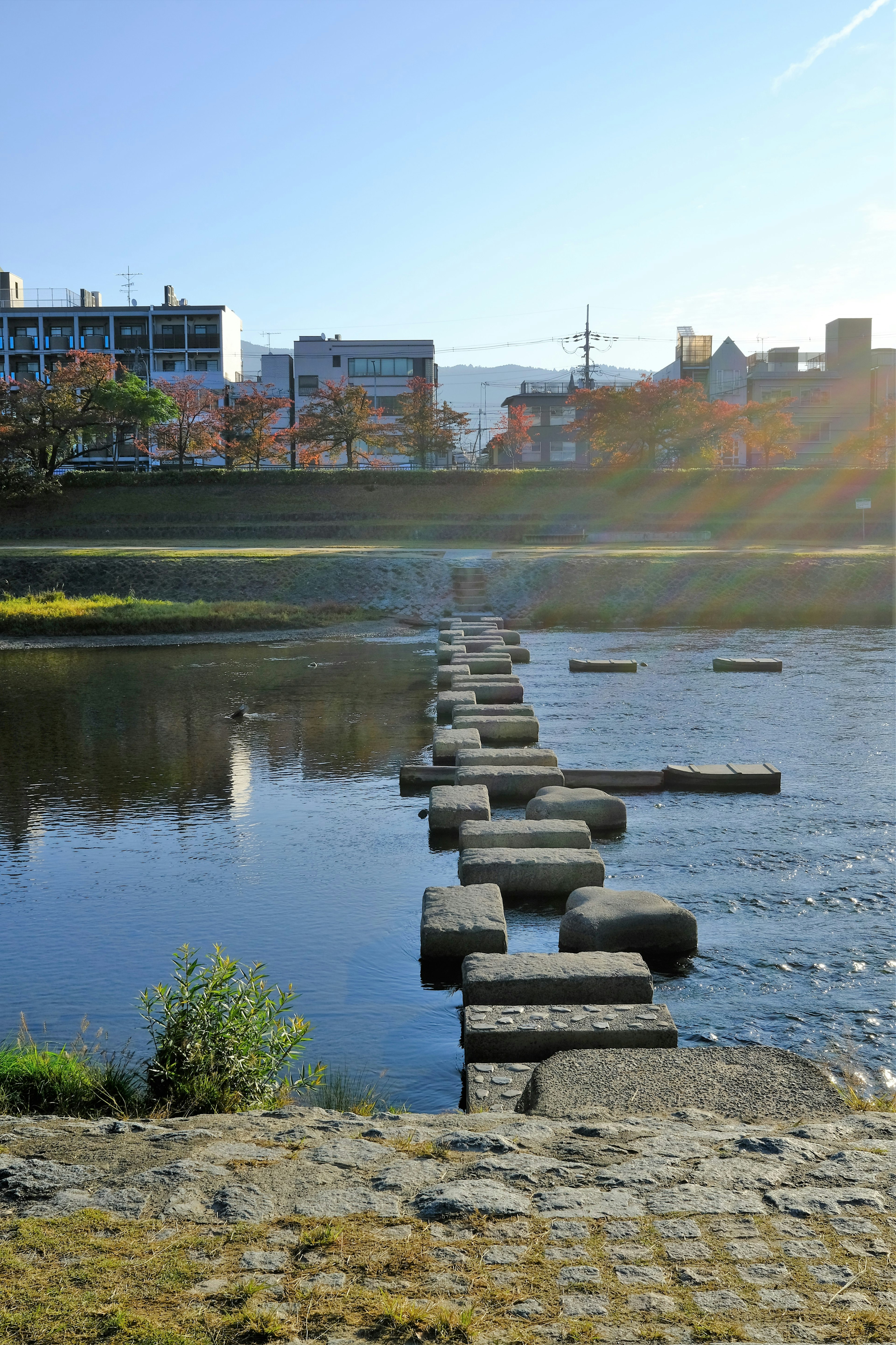 Piedras en un río con edificios al fondo