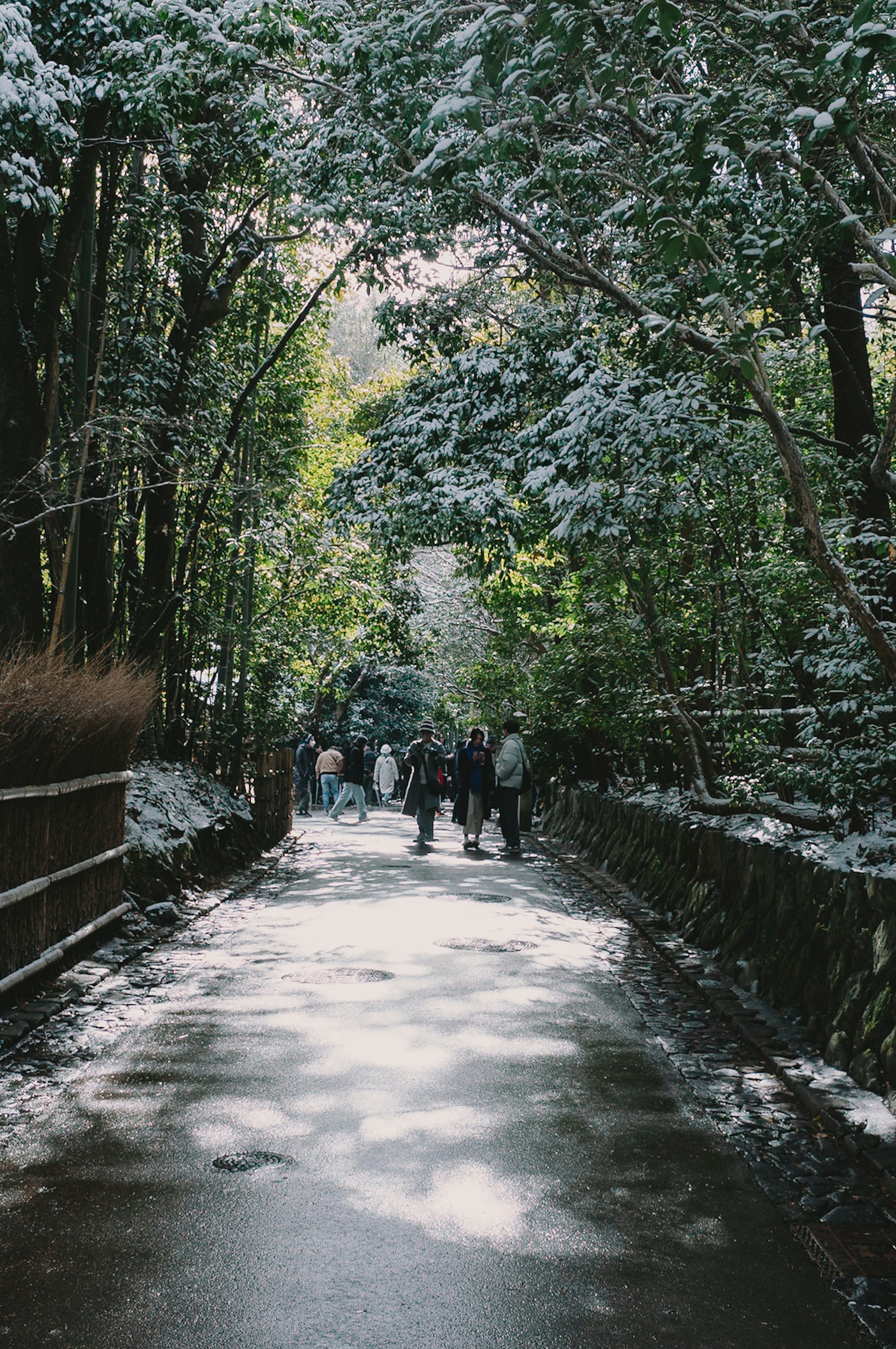 Snow-covered pathway with people walking and lush green trees