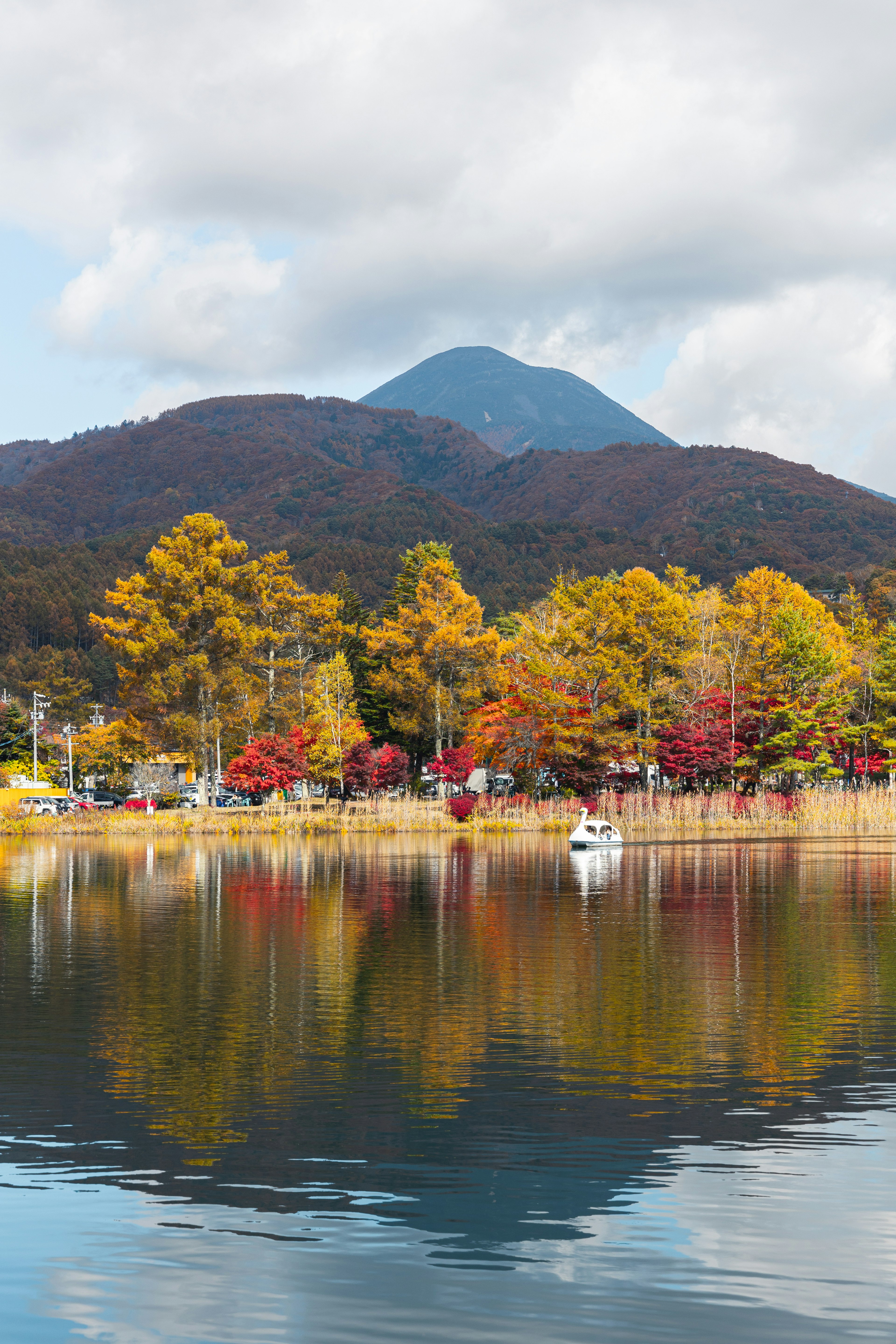 아름다운 가을 풍경 산과 호수 반영 화려한 나무들