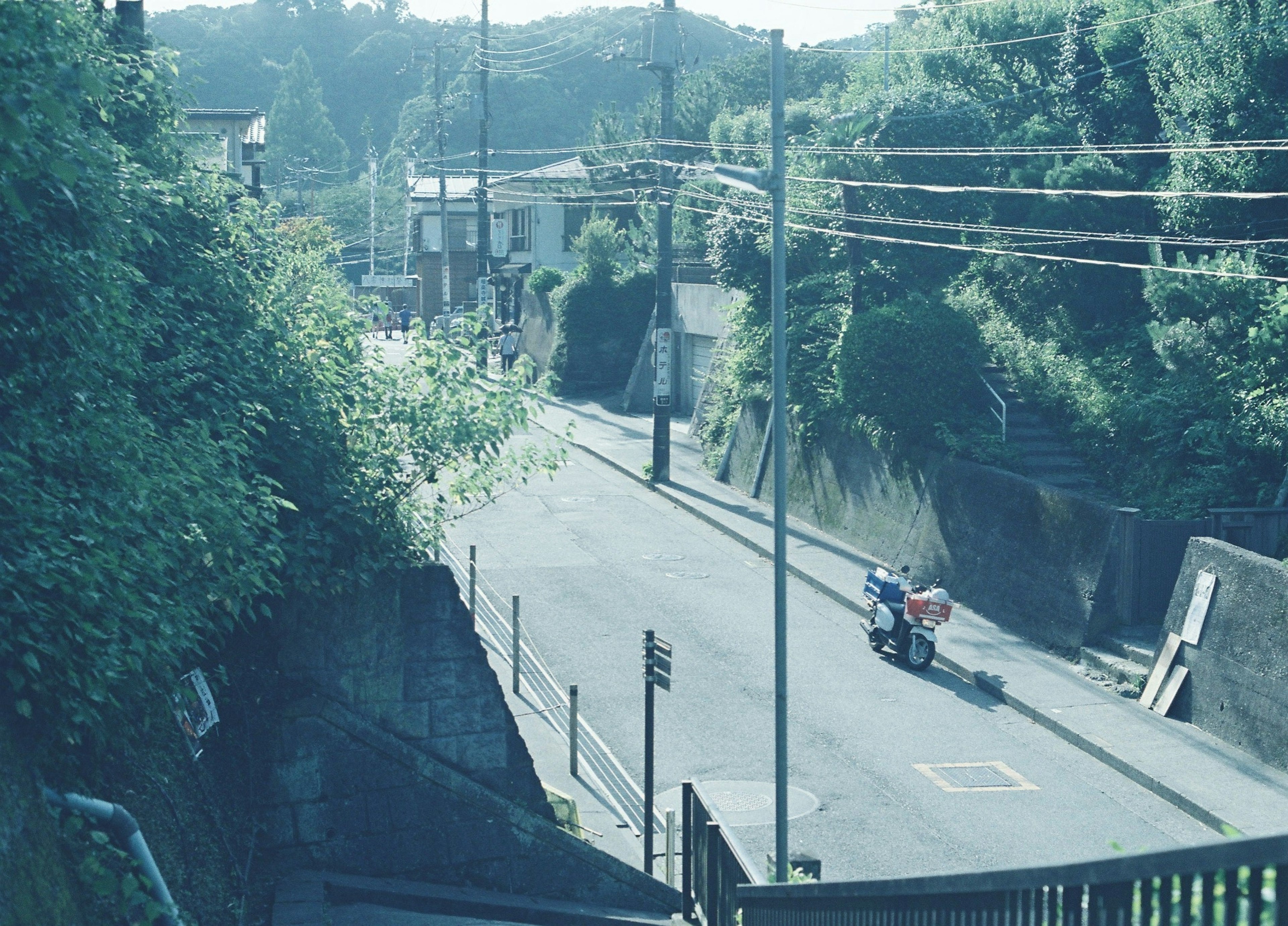 緑に囲まれた静かな街の風景 自転車に乗った人が道路を走っている