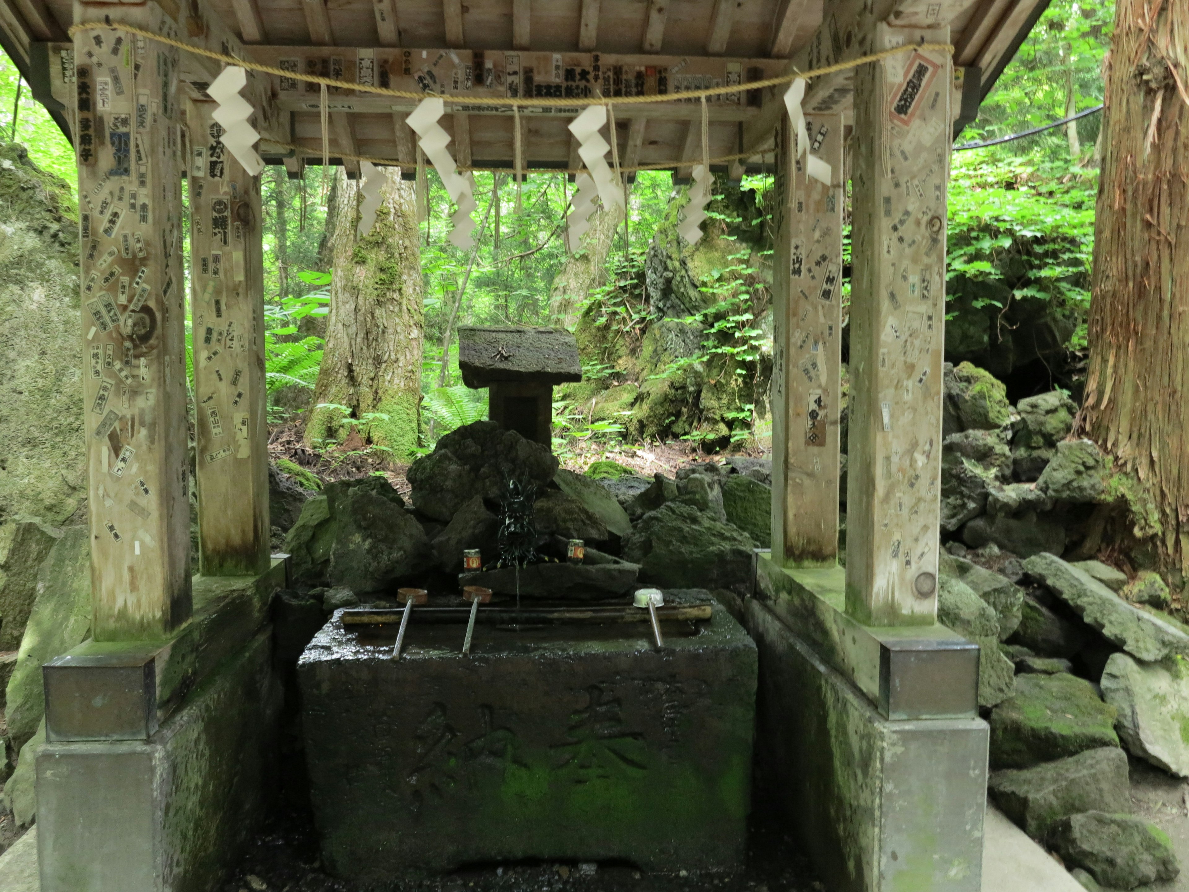 Ein Wasserbecken eines Schreins umgeben von üppigem Grün