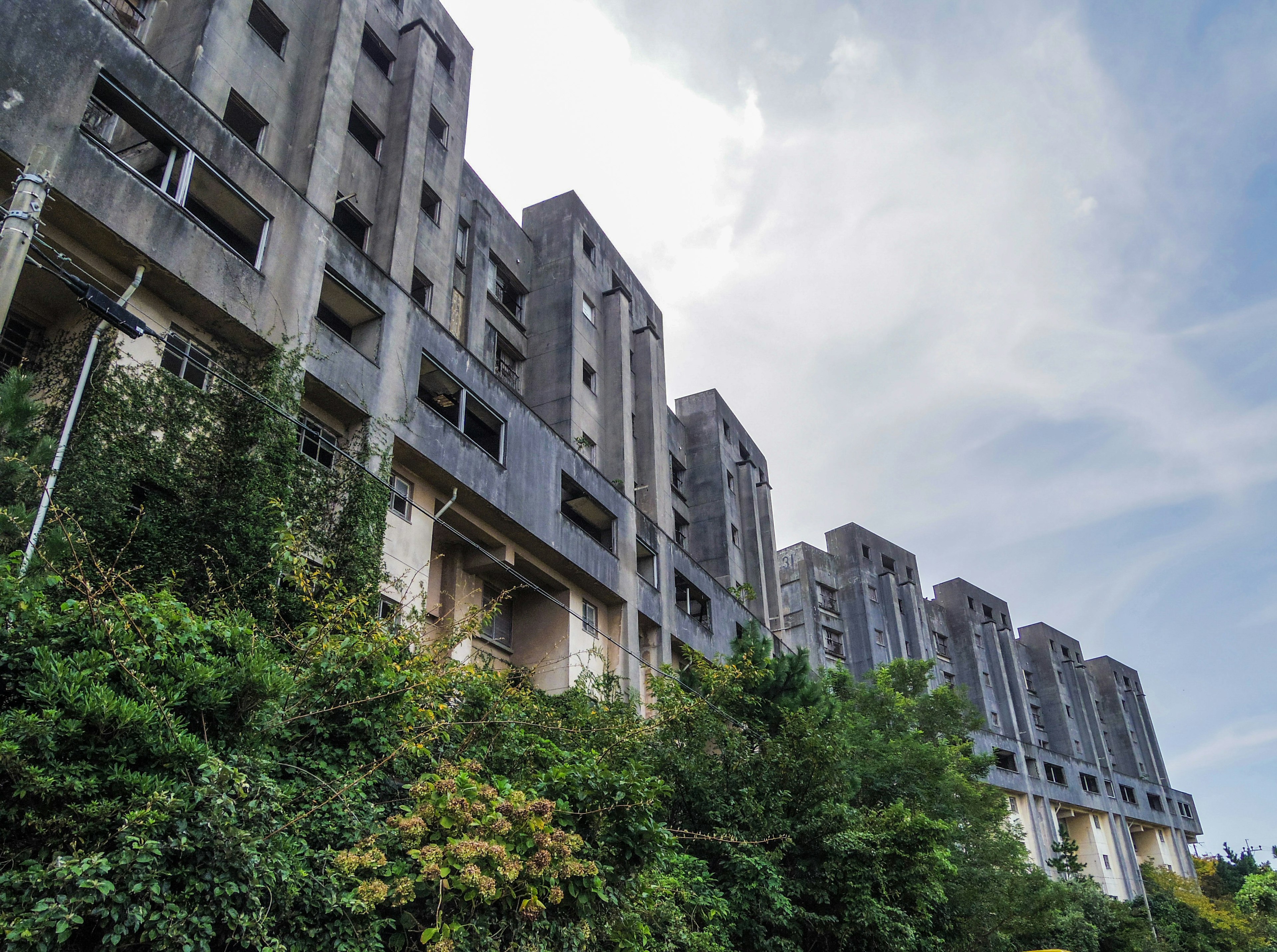 Rangée de bâtiments abandonnés envahis par la végétation