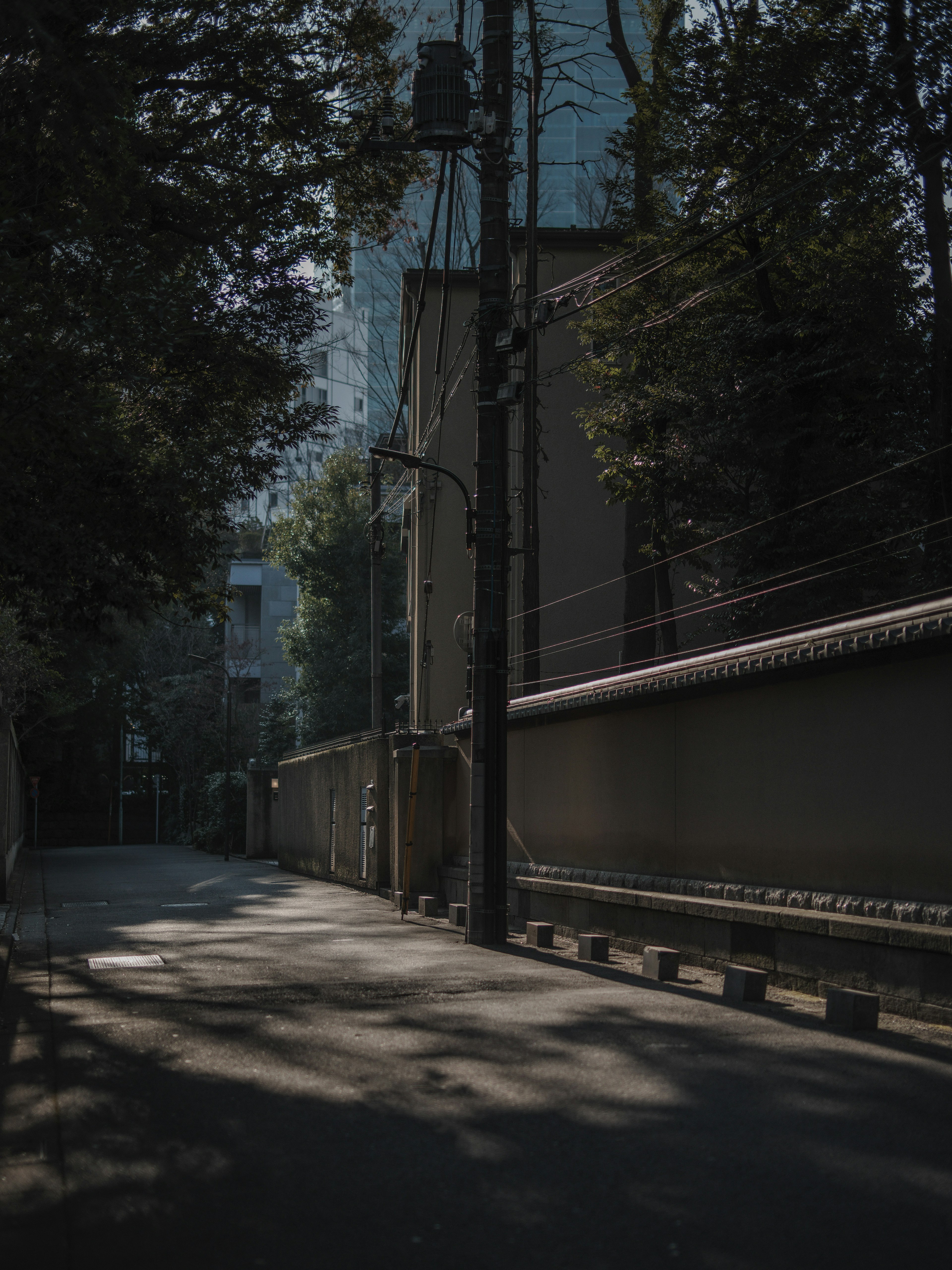 Strada tranquilla con alti edifici e alberi ombreggiati