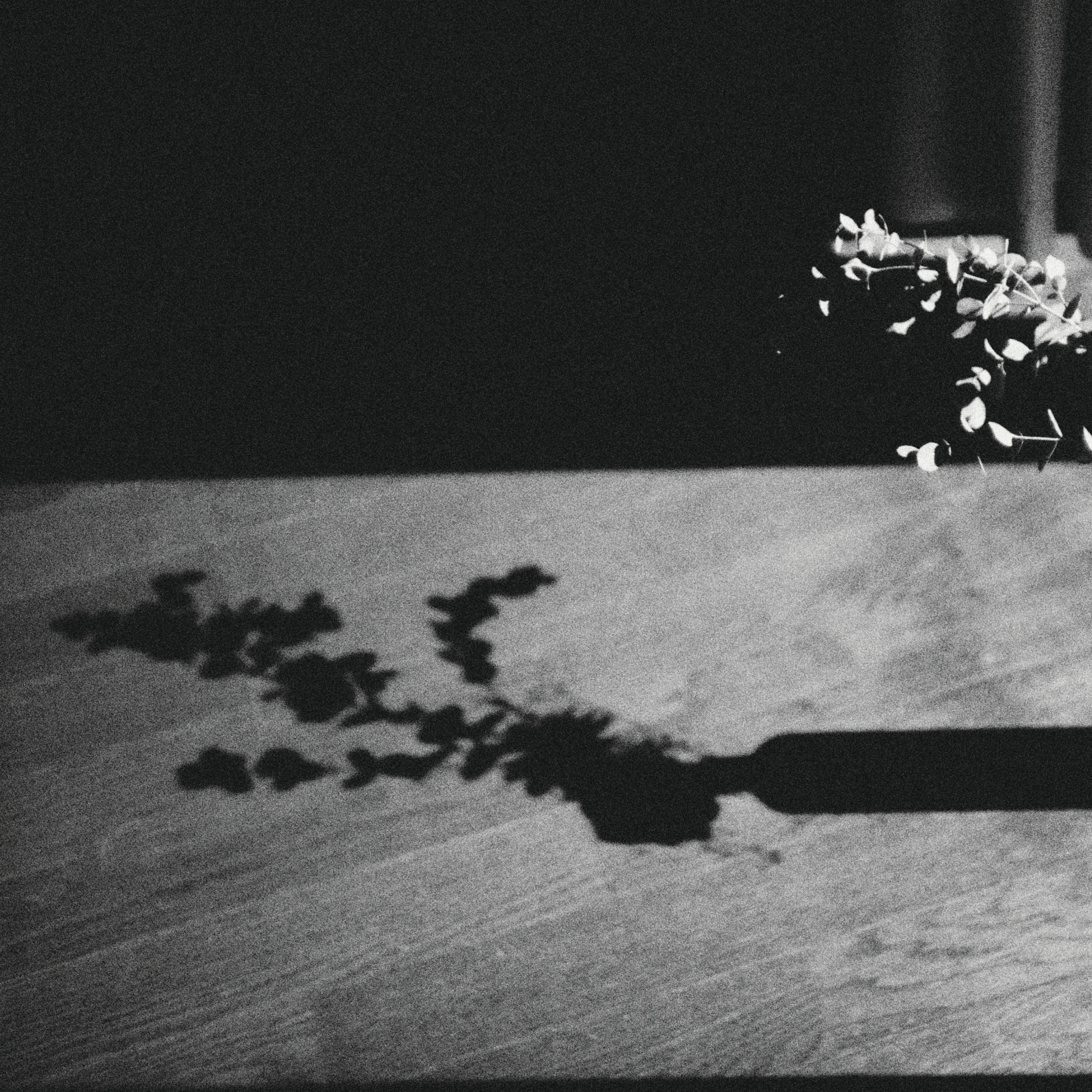 Schatten einer Vase und Pflanzenblätter auf einem Holztisch